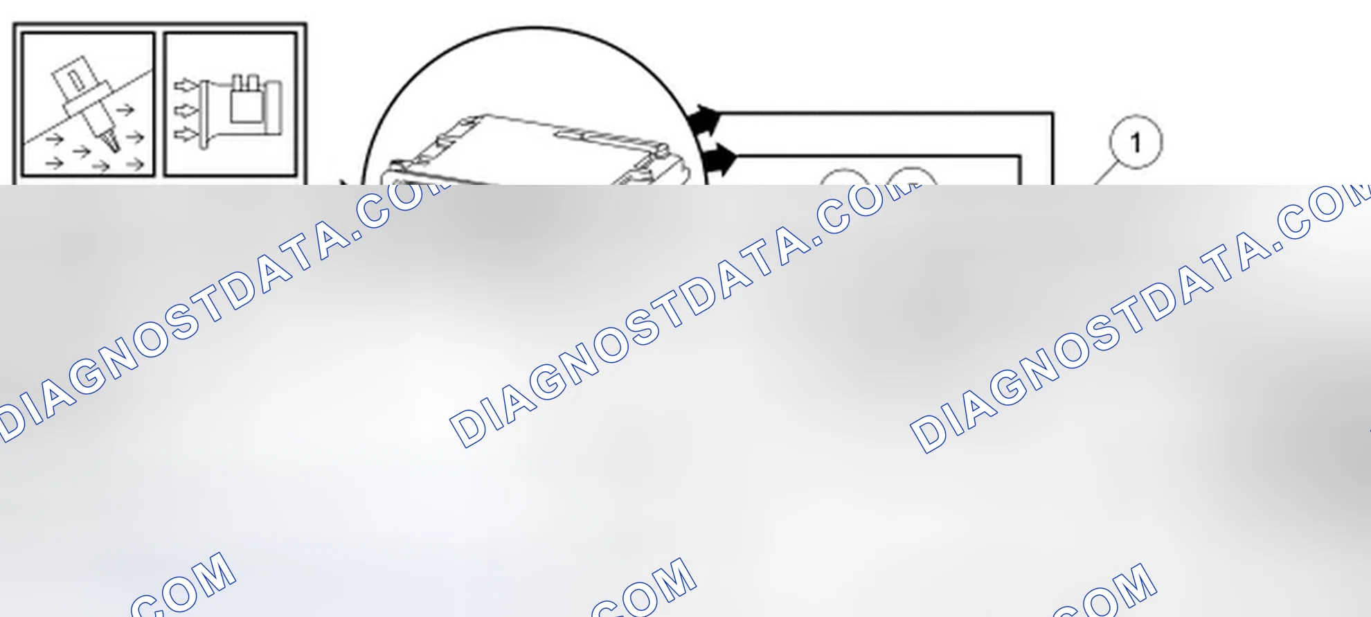 Scheme 161: Evaporative Emission (EVAP) Leak Check Monitor