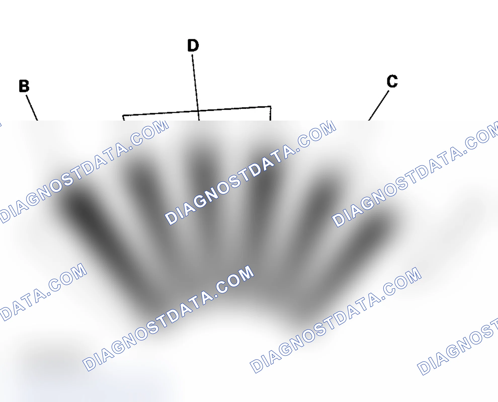 Scheme 19