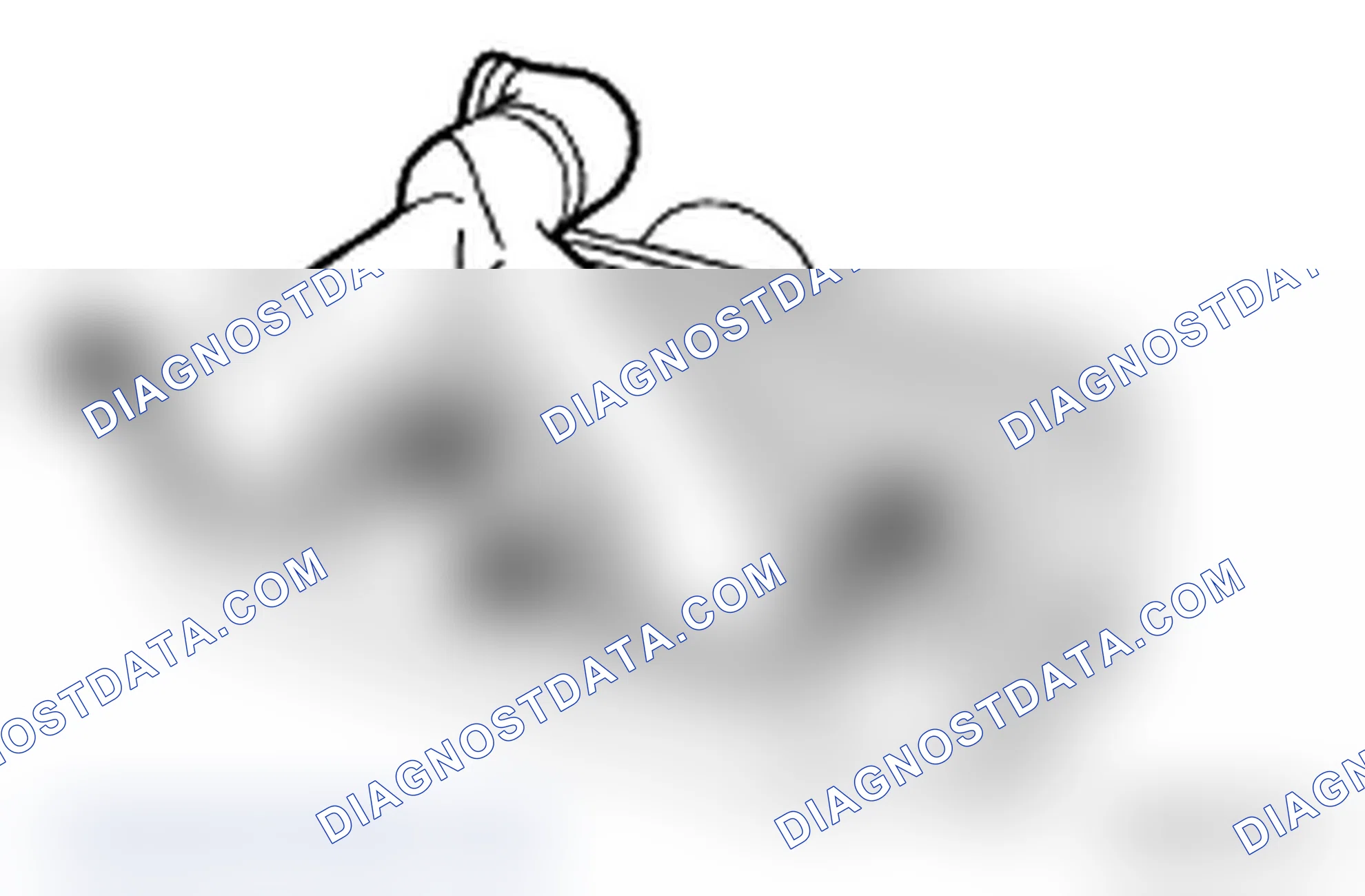Scheme 483: Locating Intercooler Ducts