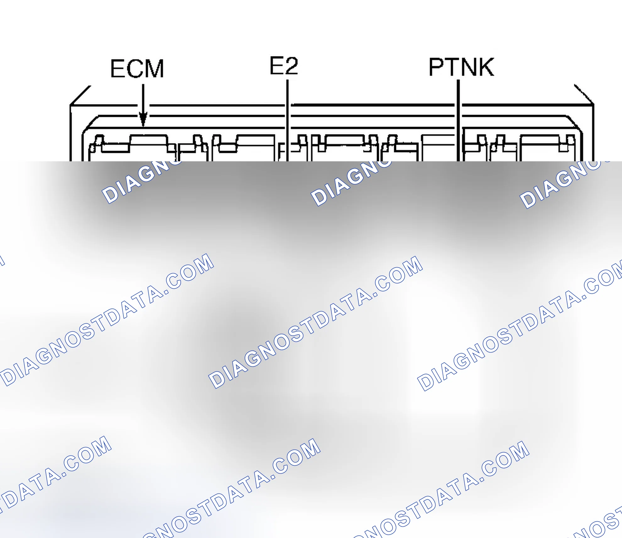 Scheme 565