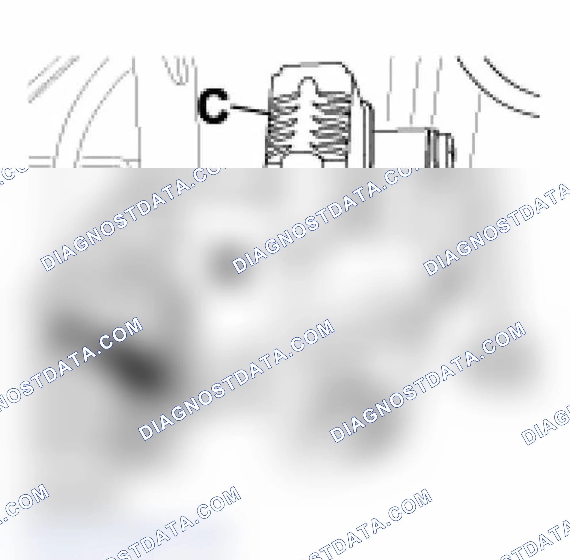 Scheme 248
