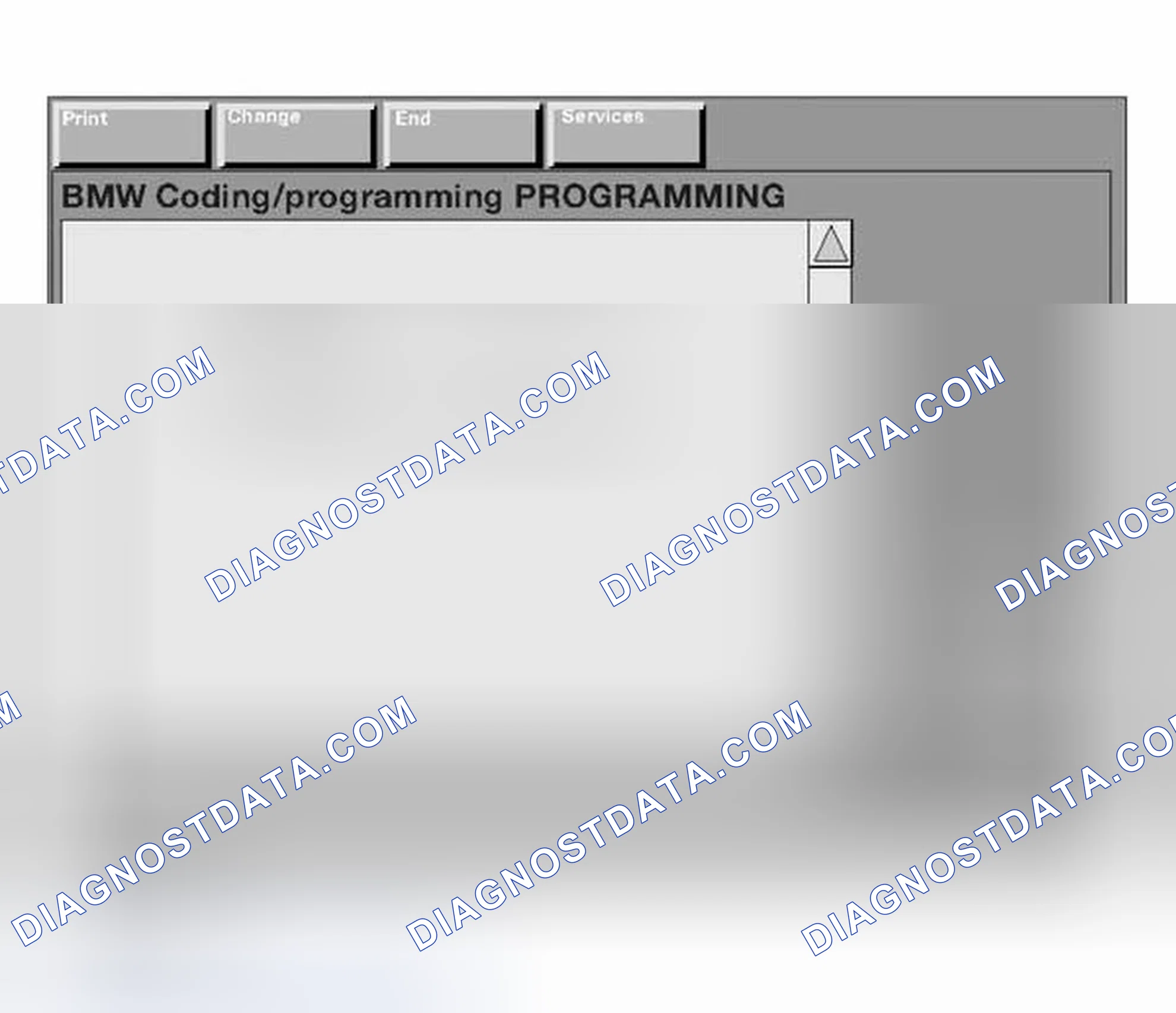 Scheme 237