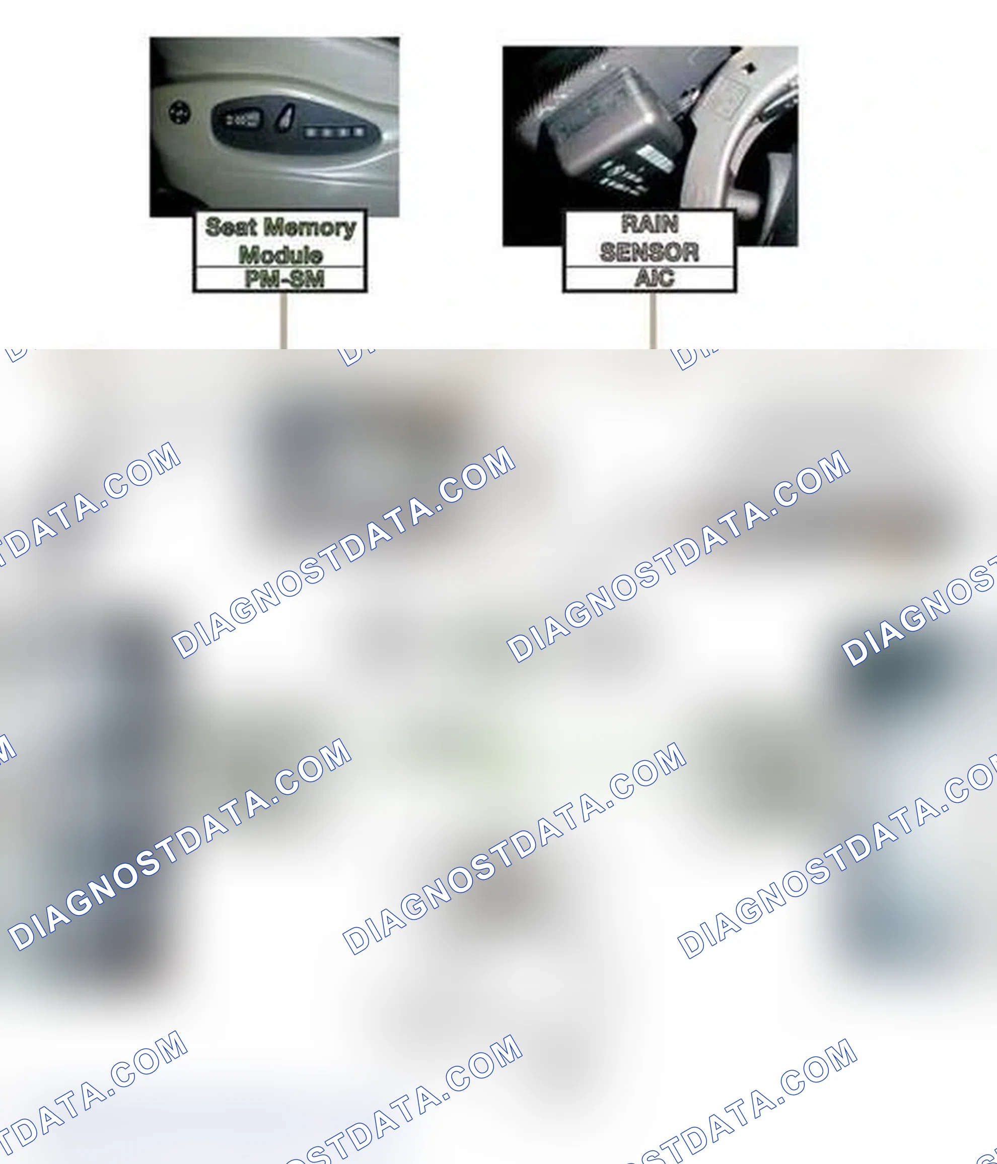Scheme 359