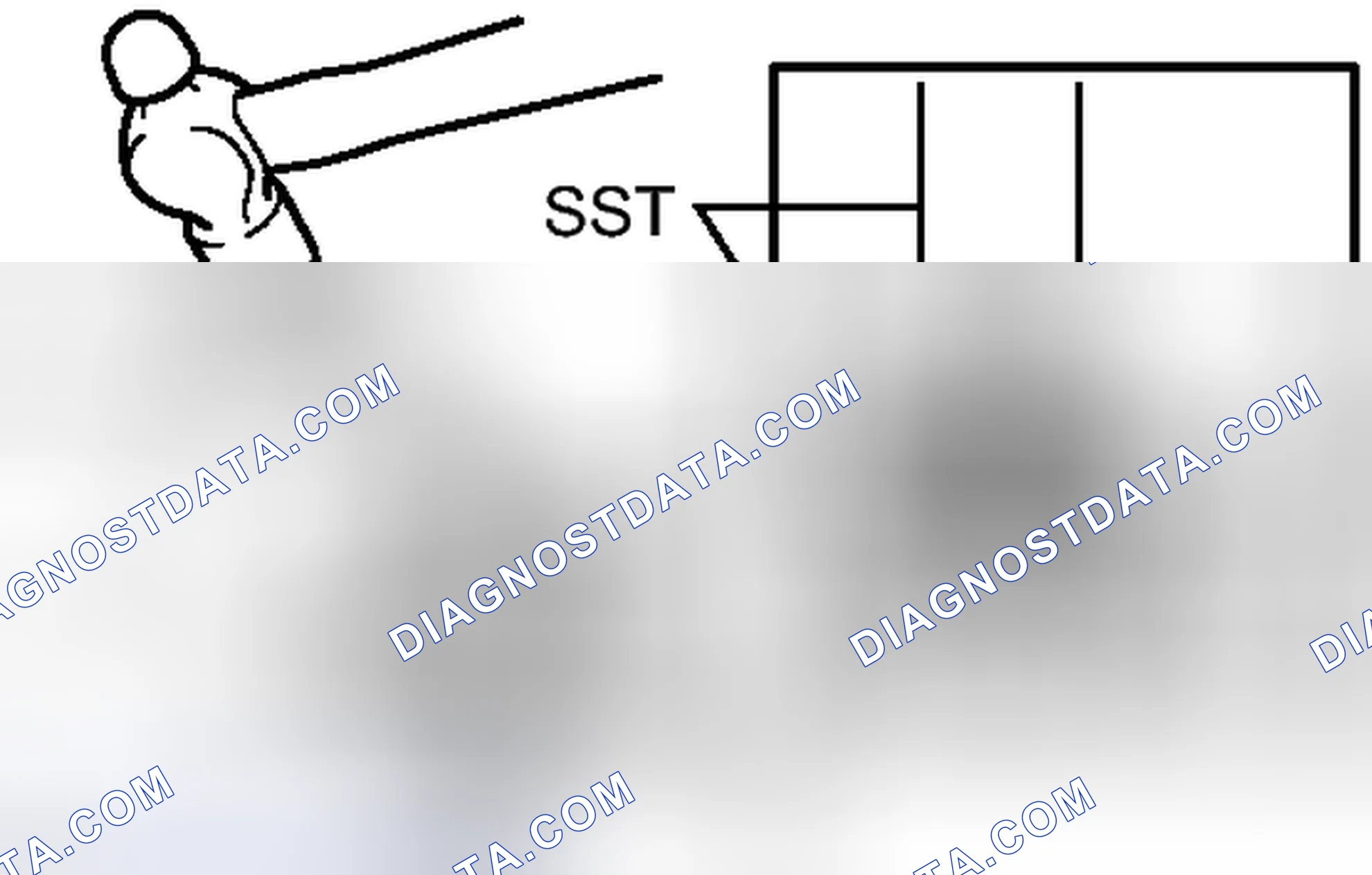 Scheme 105