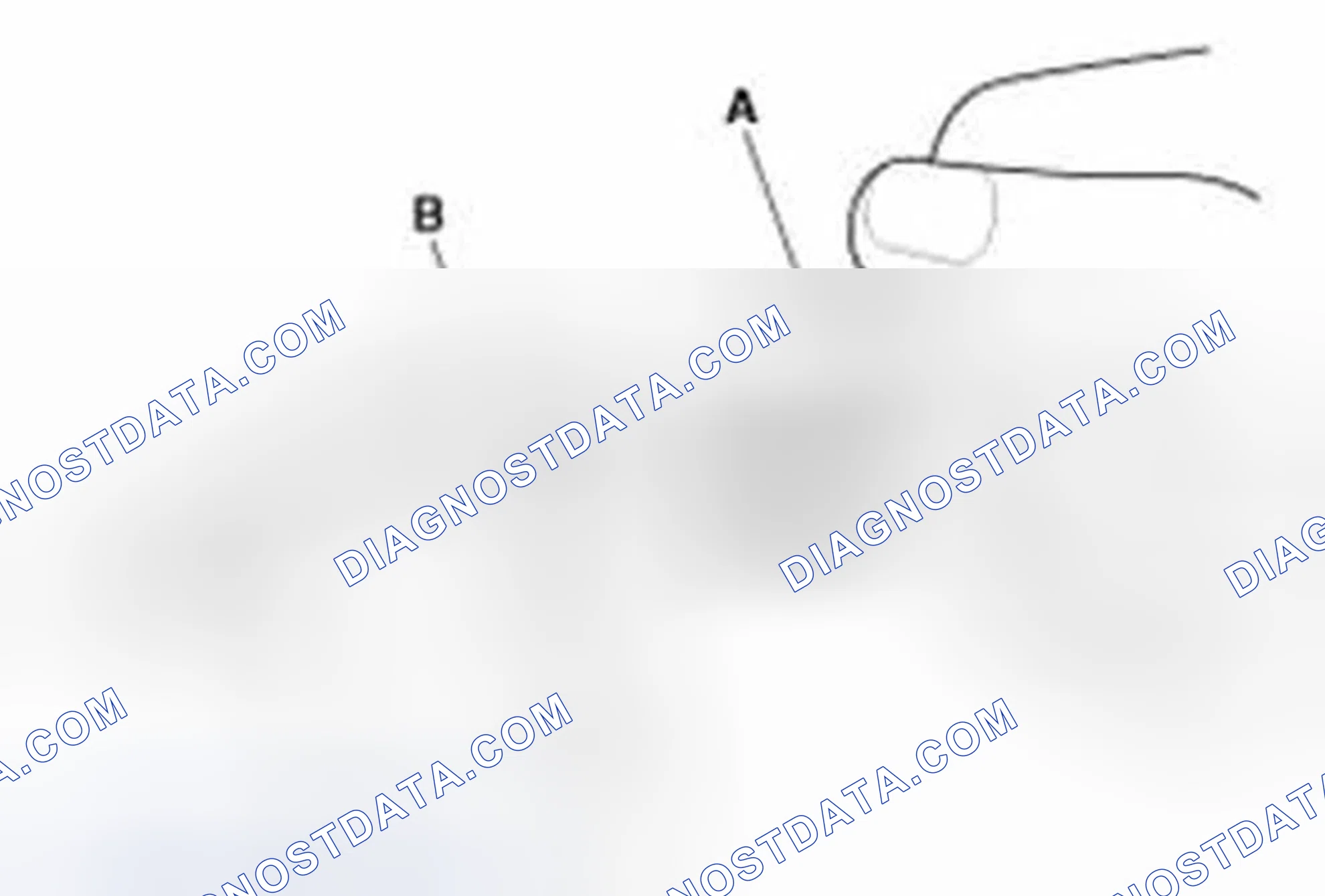 Scheme 310: Inspection