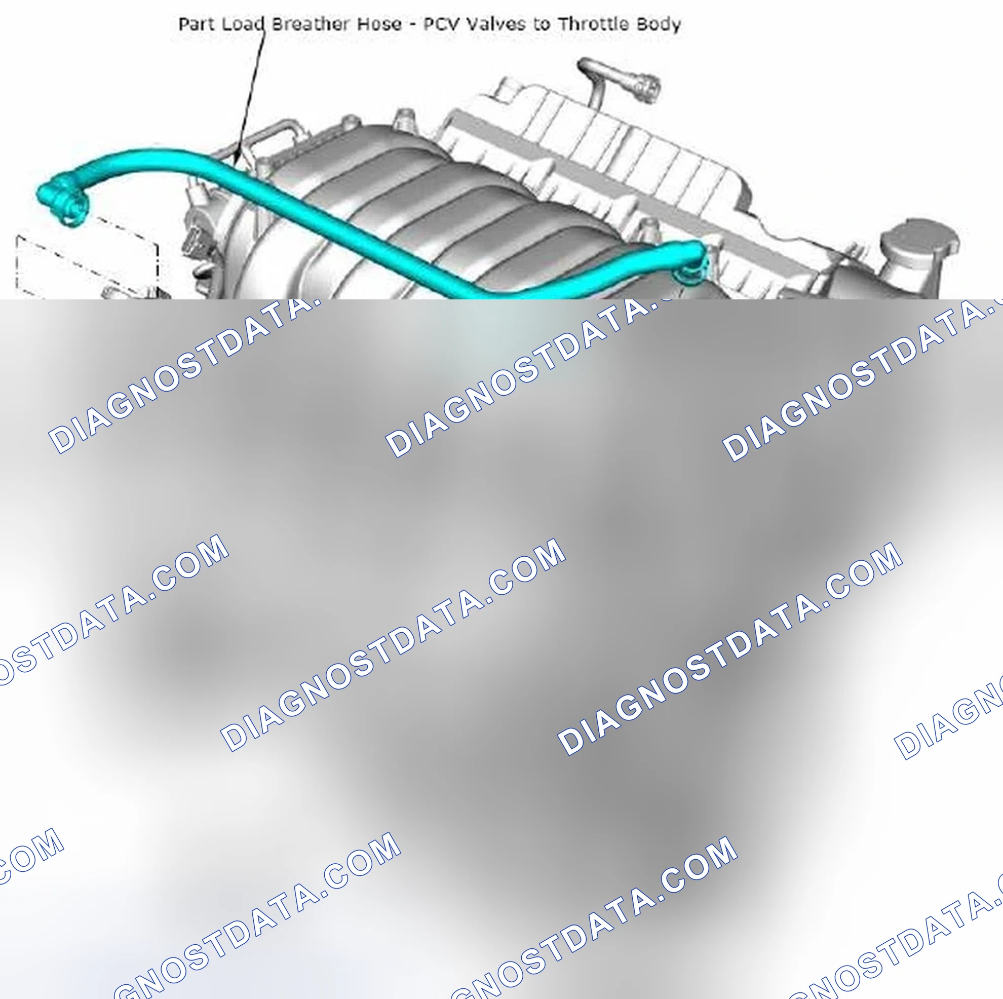 Scheme 93: 4.7.2 PCV Valve Location and Hose Layout for the Naturally Aspirated Engine