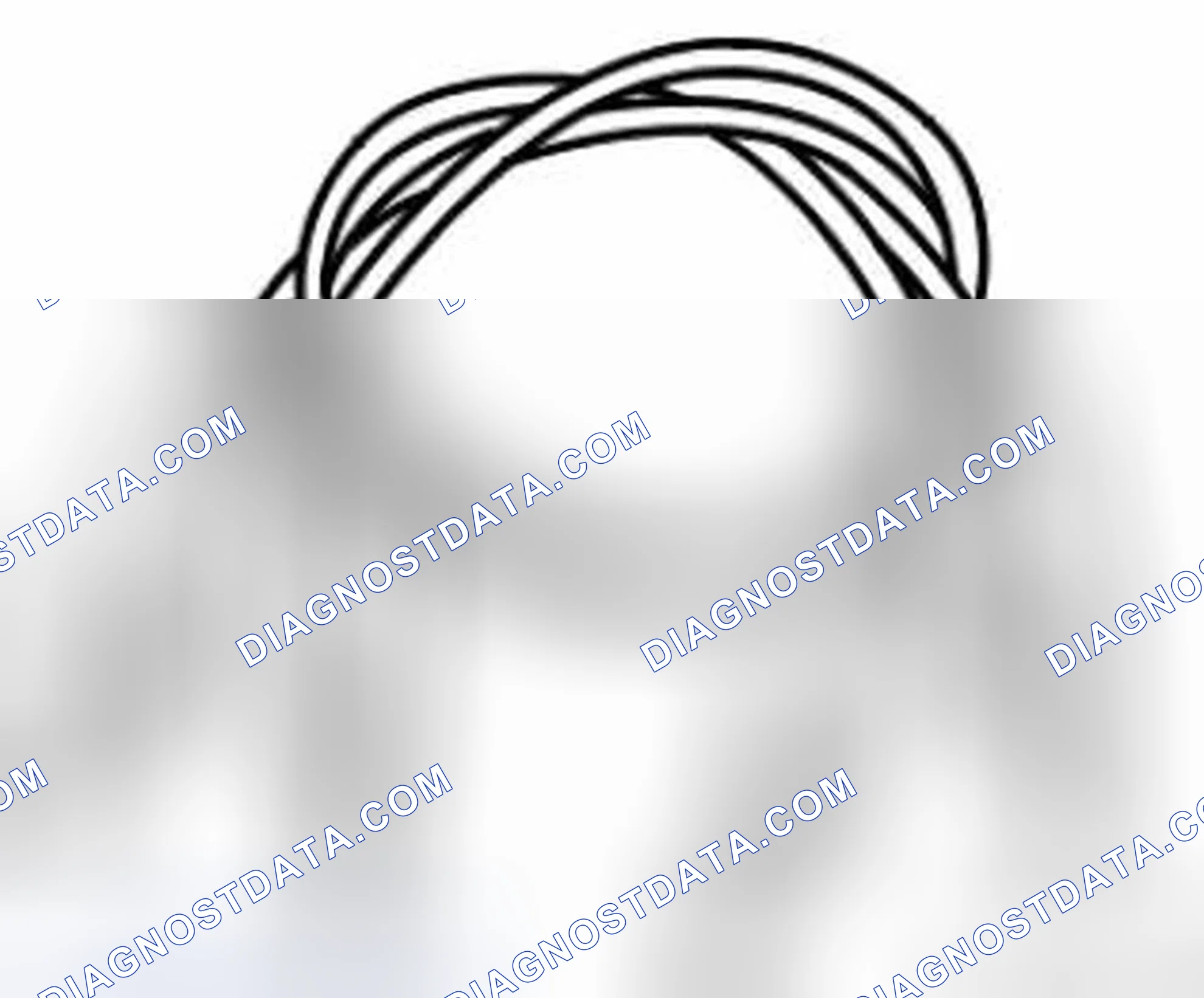 Scheme 74: 86 11 345 JUMPER CABLE (X 2)