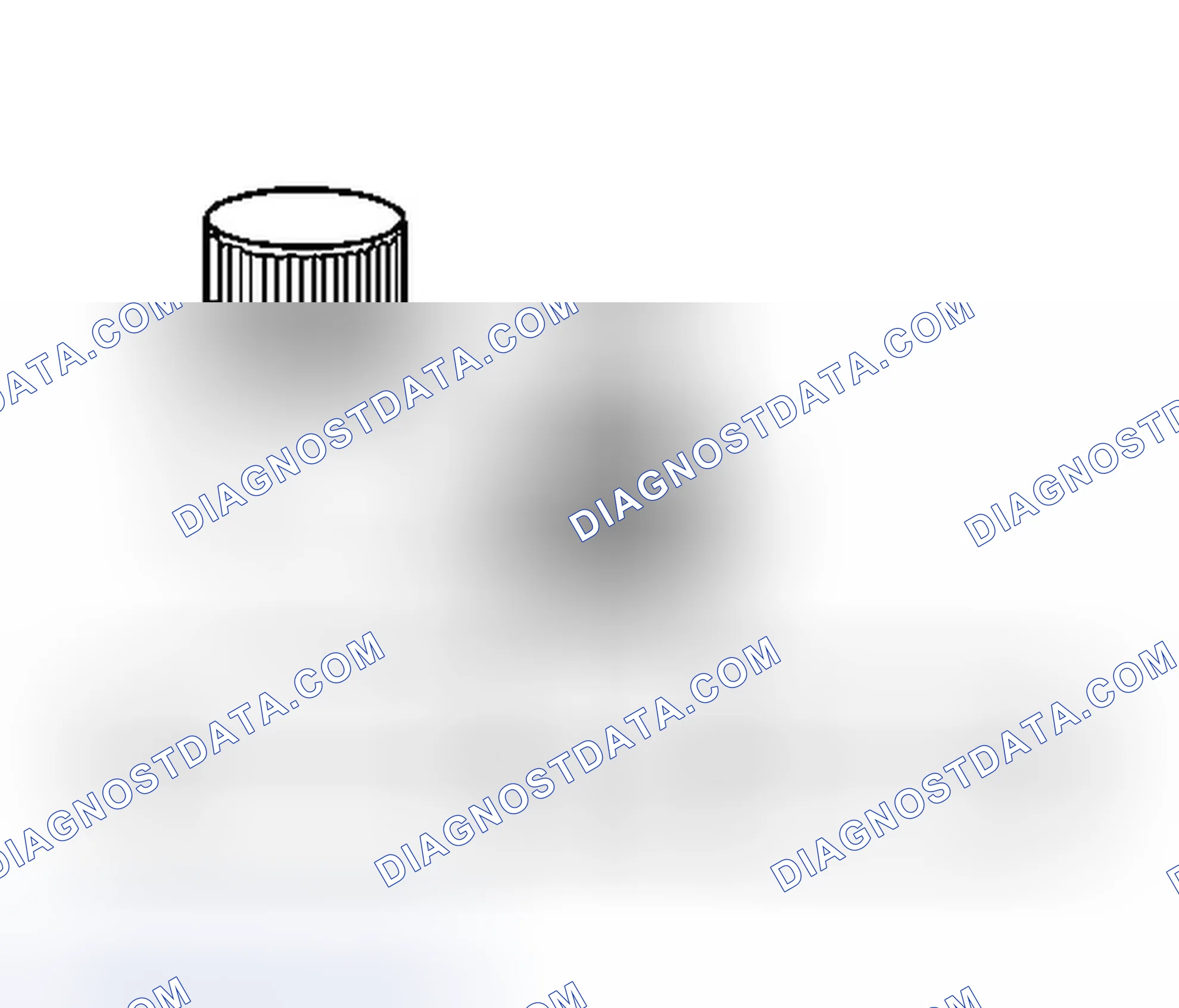 Scheme 32: Enhanced Evaporative Emission (EVAP) Service Port