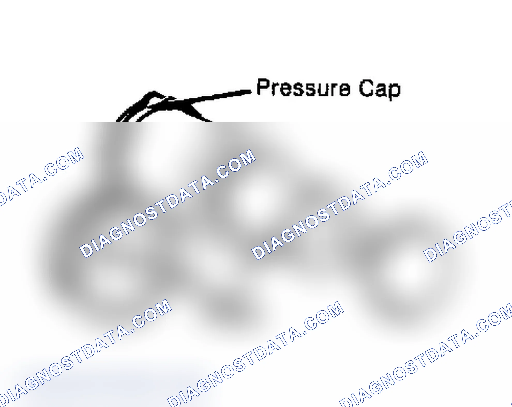 Scheme 2: Testing Radiator Pressure Cap Wet Cap Gasket Before Testing