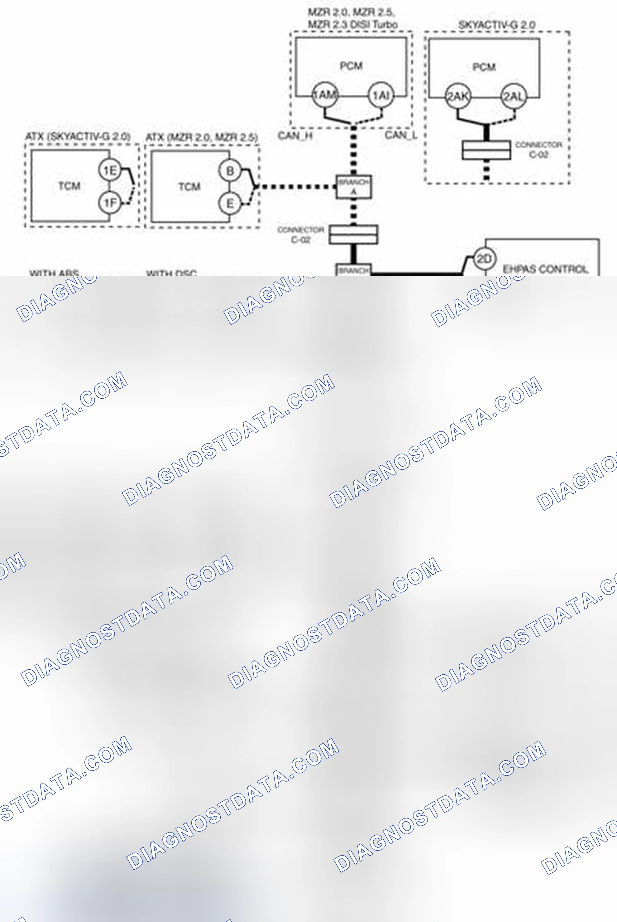 Scheme 81: Branch C And Connector C-17 (Open Circuit) System Wiring Diagram