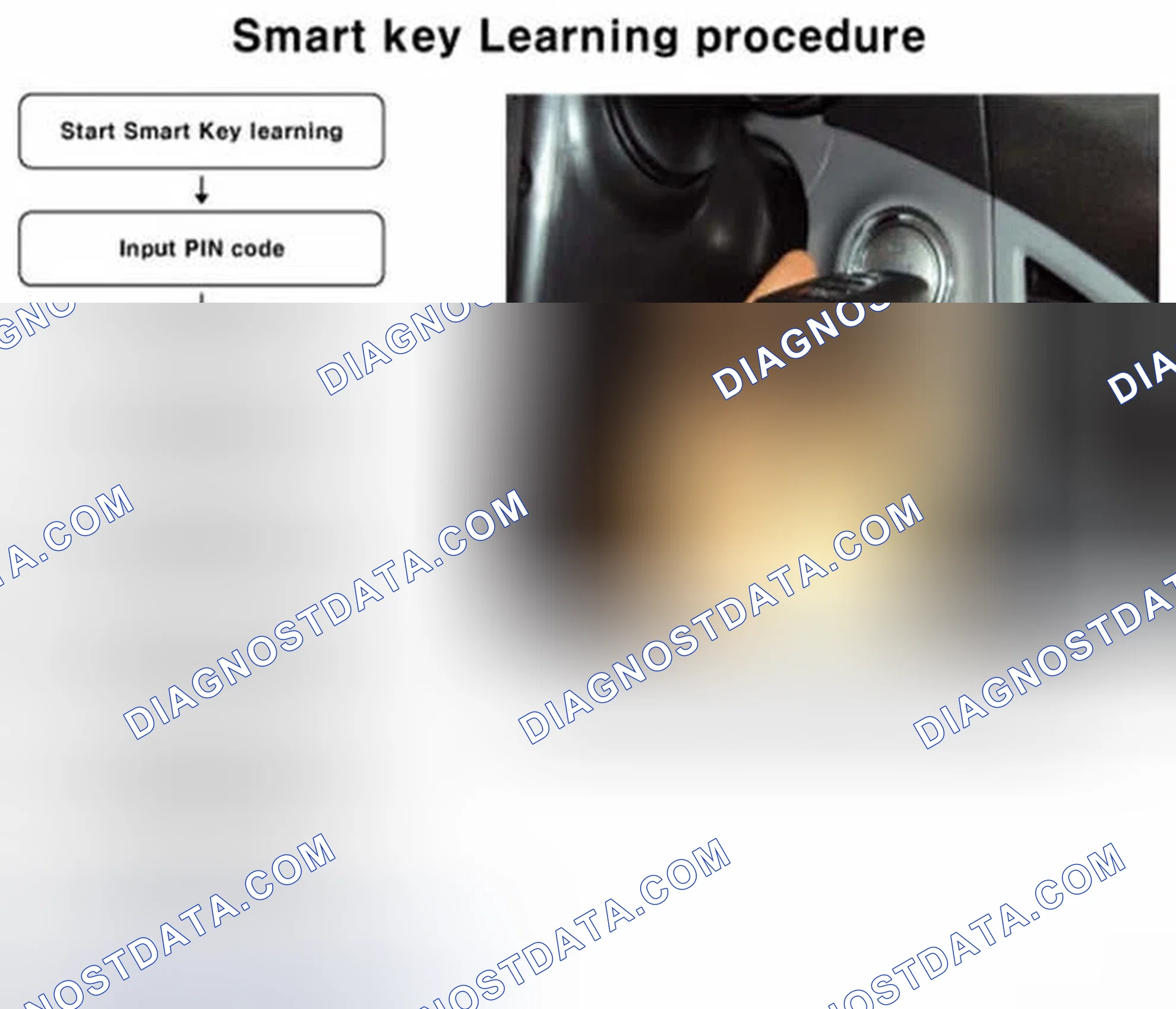 Scheme 232