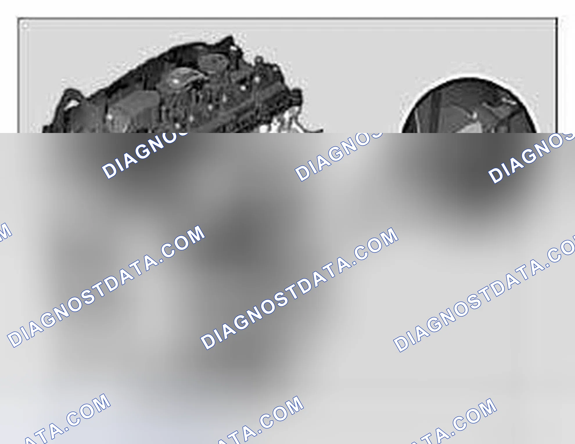 Scheme 110: Engine identification