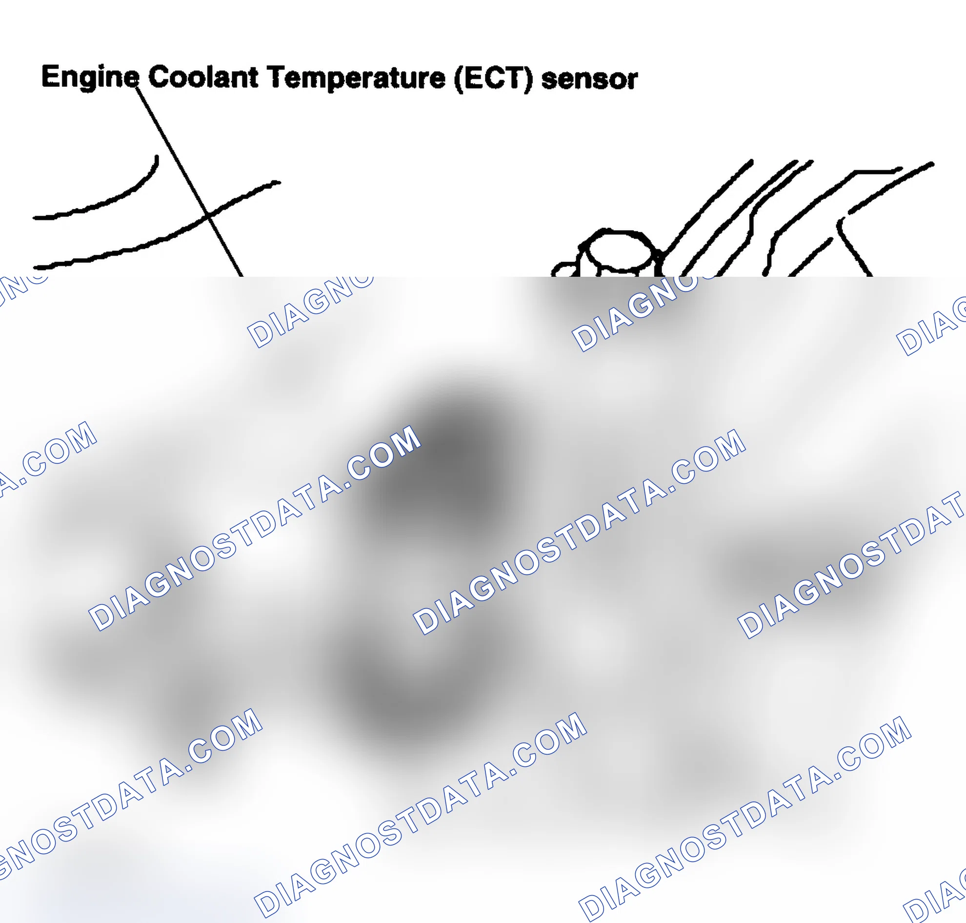 Scheme 34: Engine Coolant Temperature (ECT) Sensor