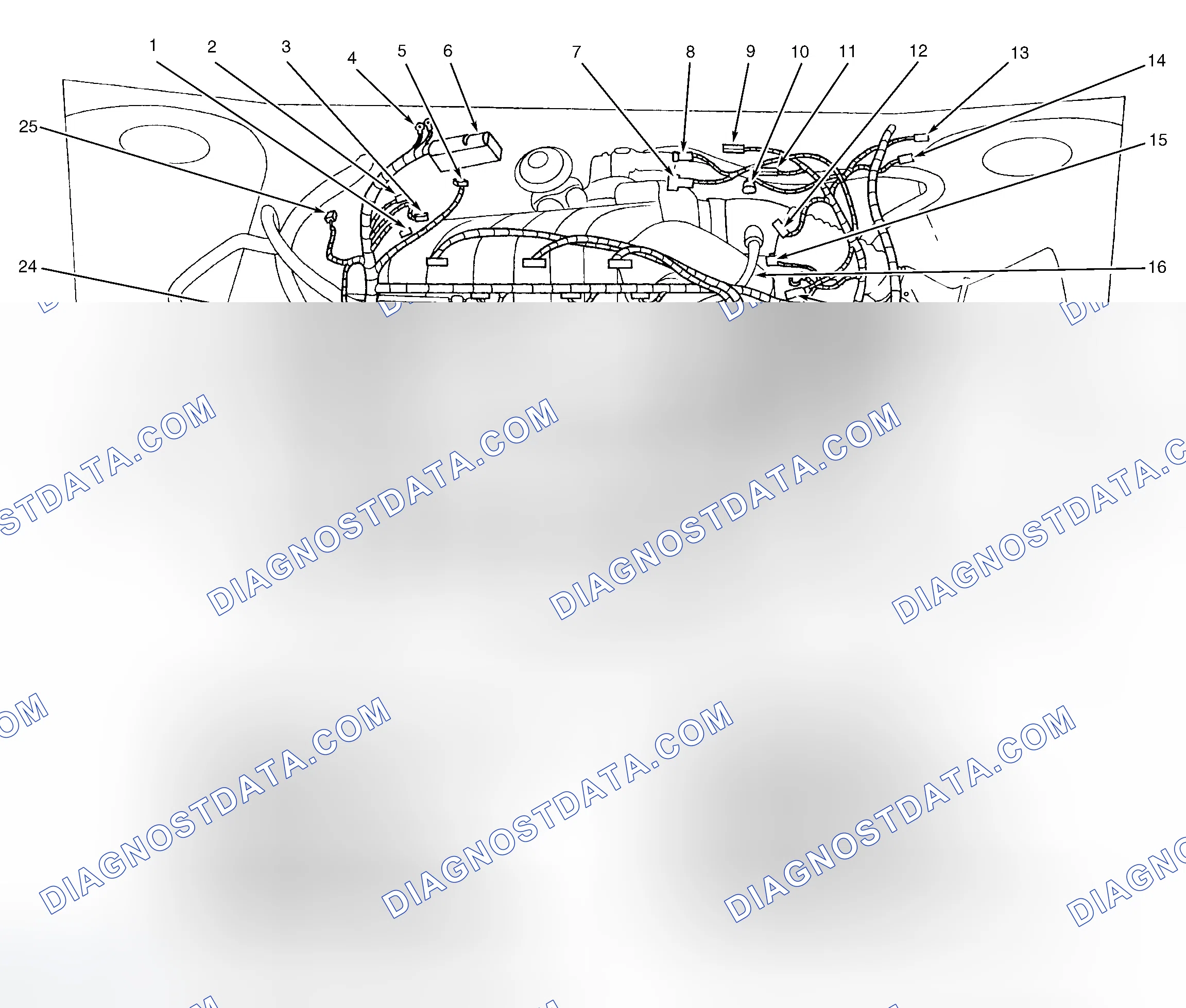 Scheme 5: Engine Compartment (3.0L 2V)