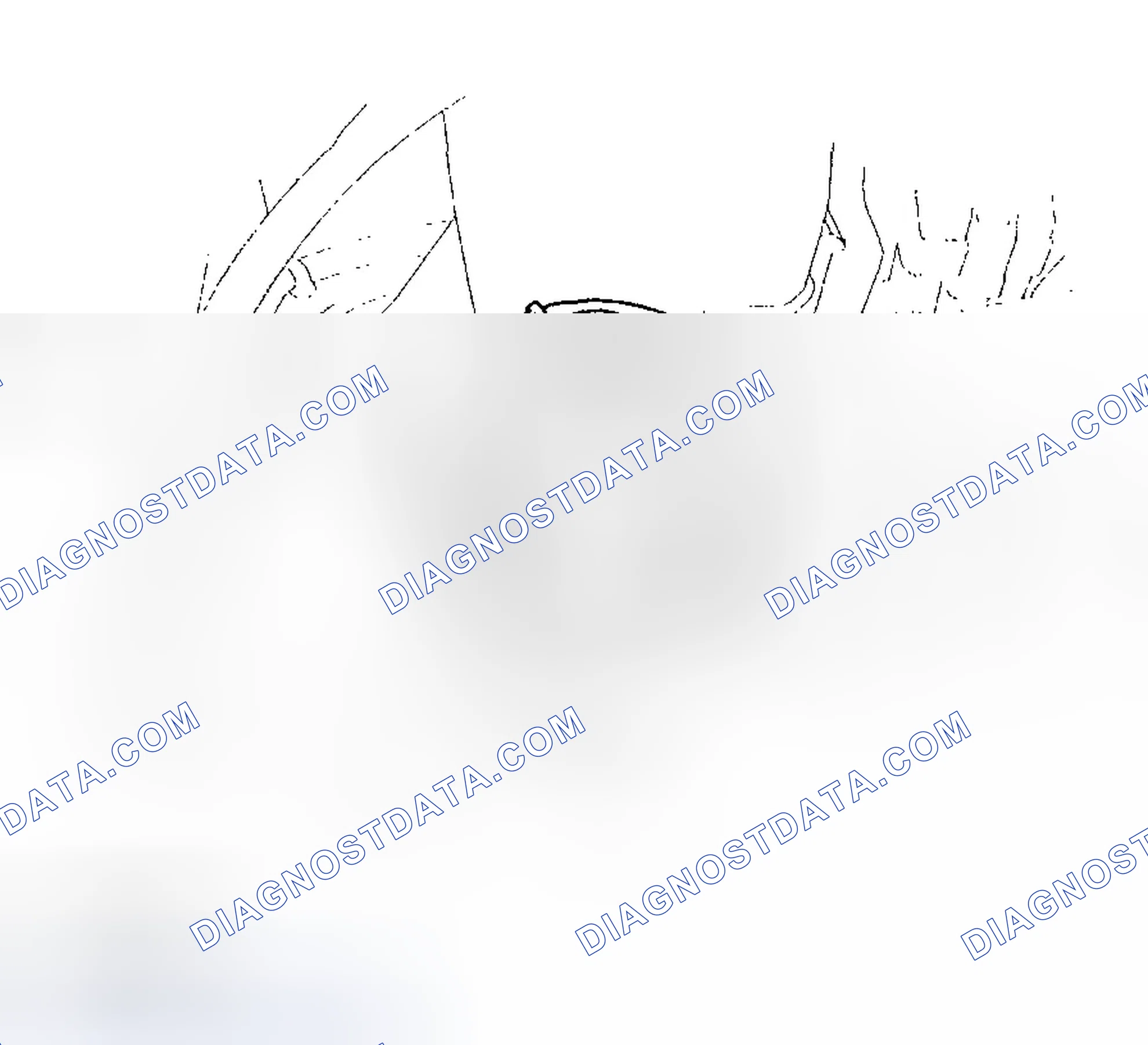 Scheme 17: Fluid Replacement