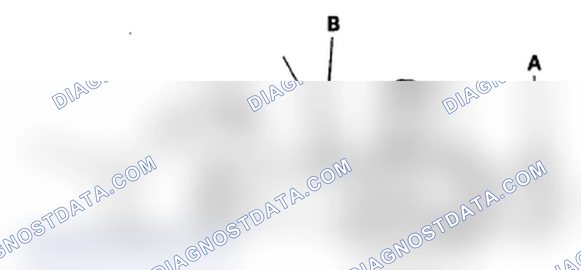 Scheme 44: Radiator Cap Test