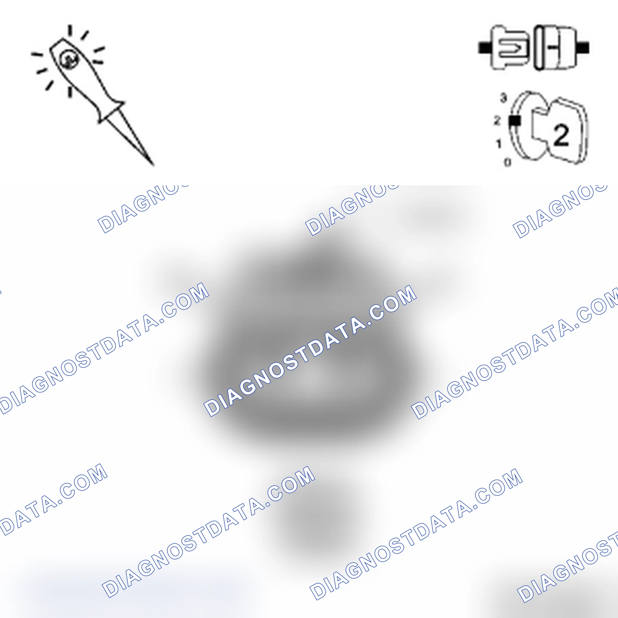 Scheme 2: Diagnostic Test