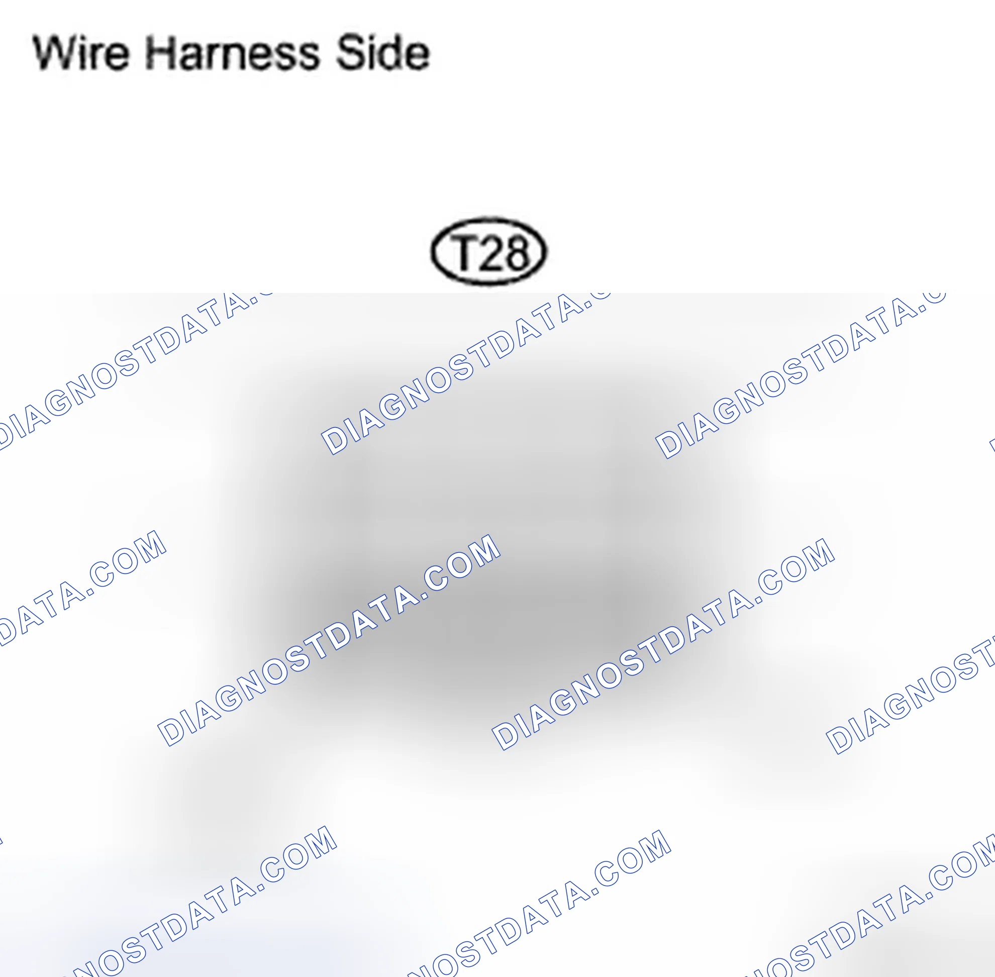 Scheme 12: INSPECTION PROCEDURE
