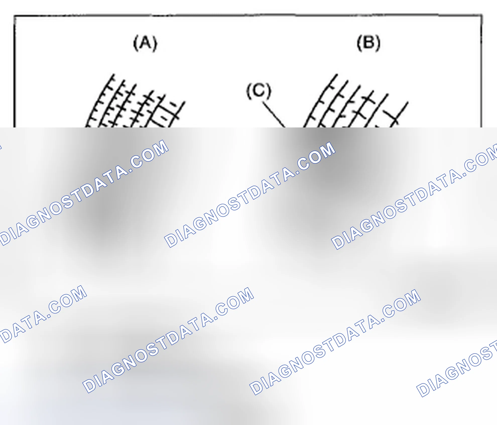 Scheme 214