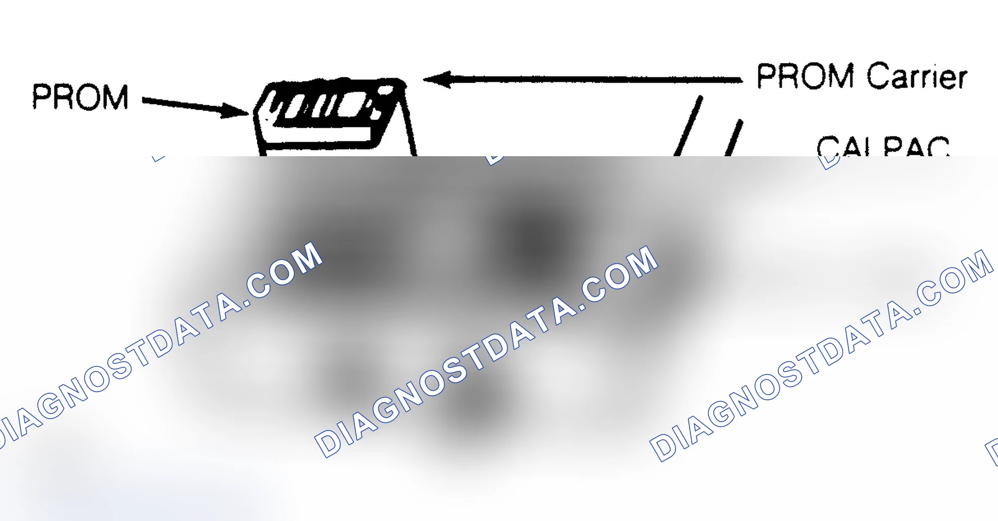 Scheme 3: CALPAC
