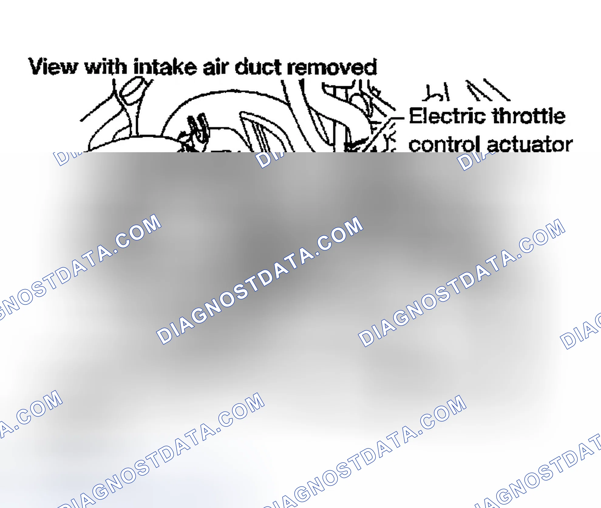 Scheme 301: Diagnostic Procedure