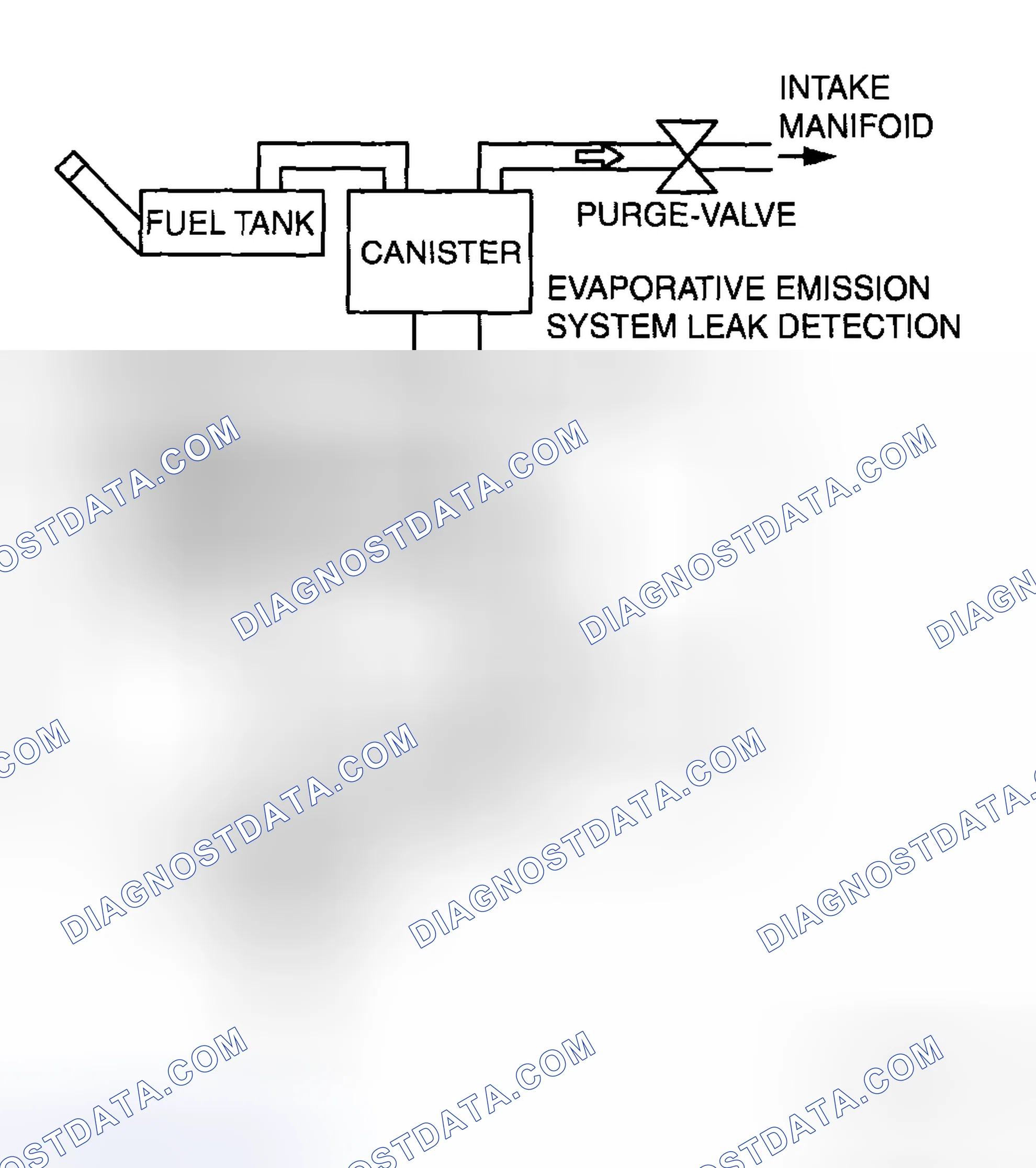 Scheme 210: EVAP system malfunction judgment