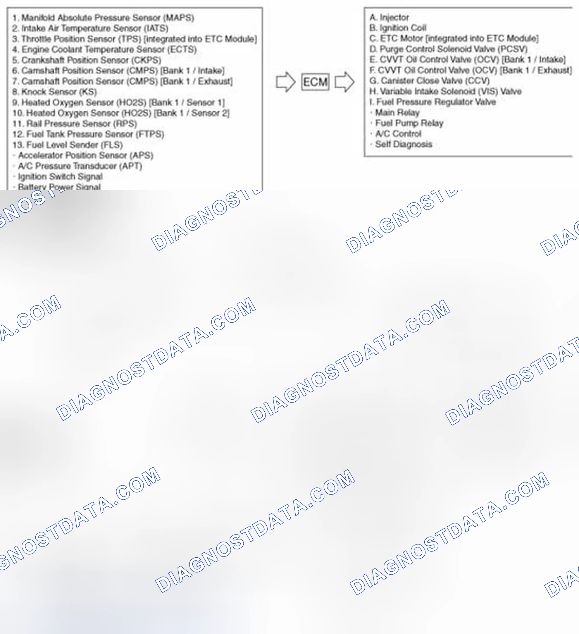 Scheme 1: Schematic Diagram