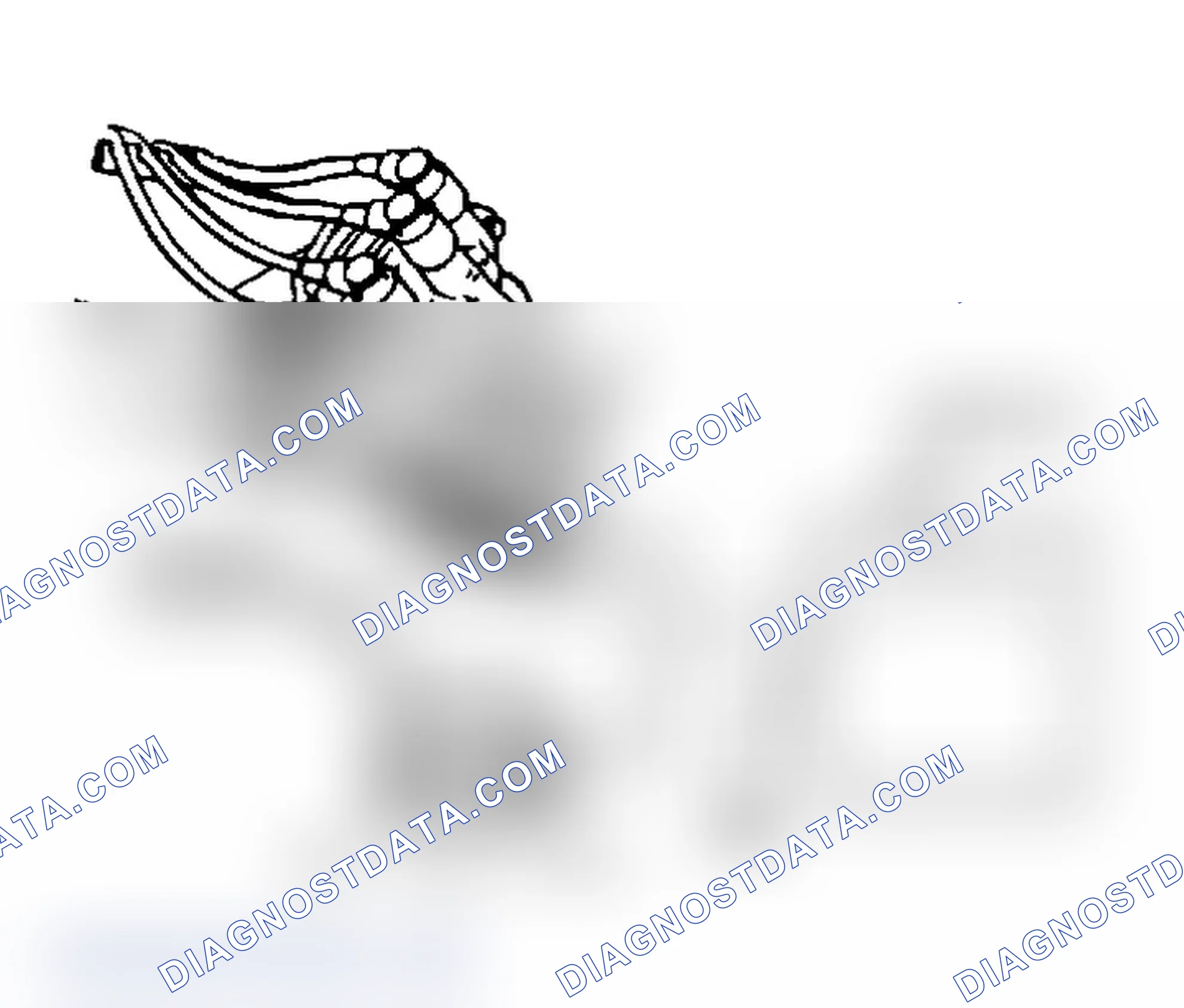 Scheme 14: Distributor Connection Identification