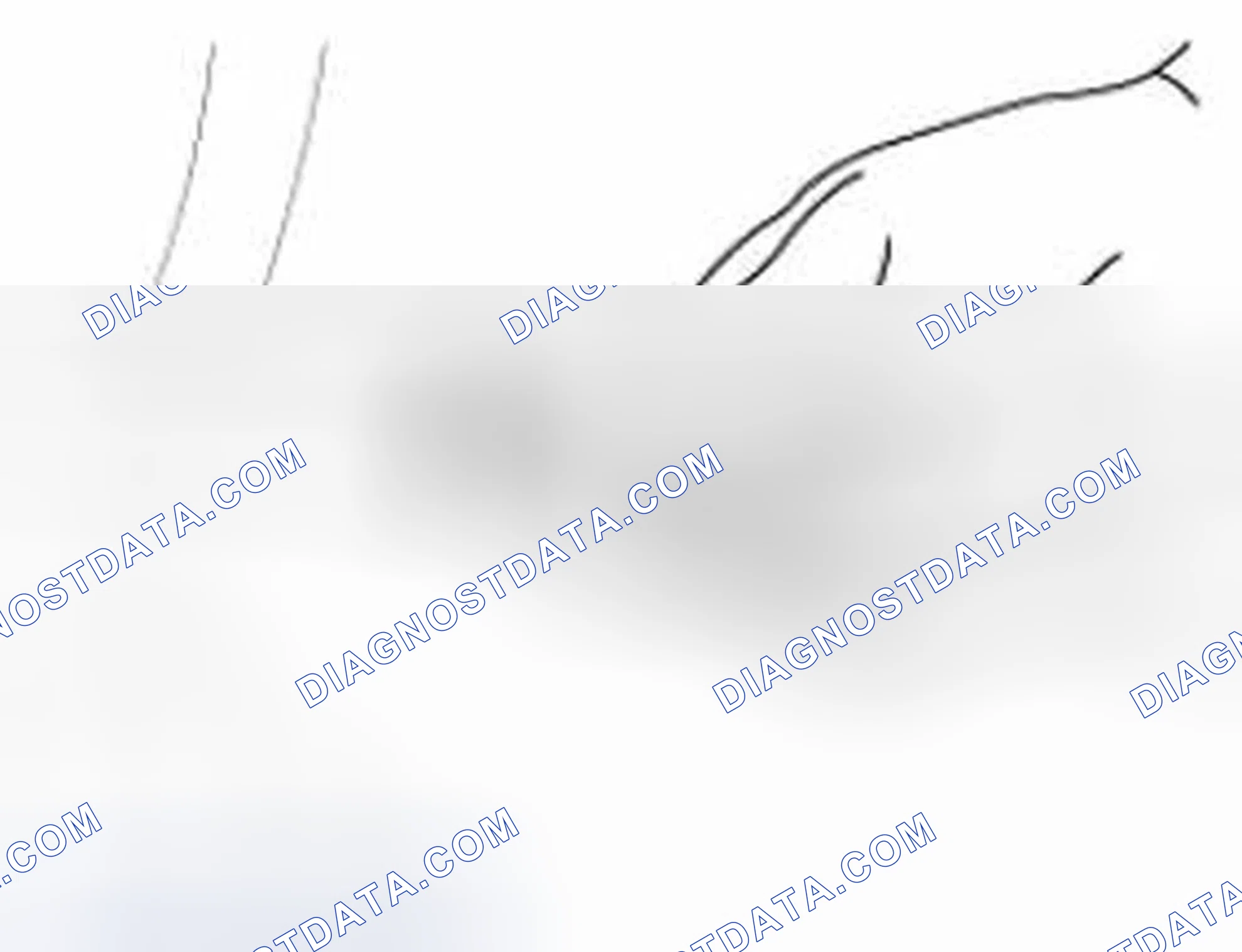 Scheme 5: Inspection