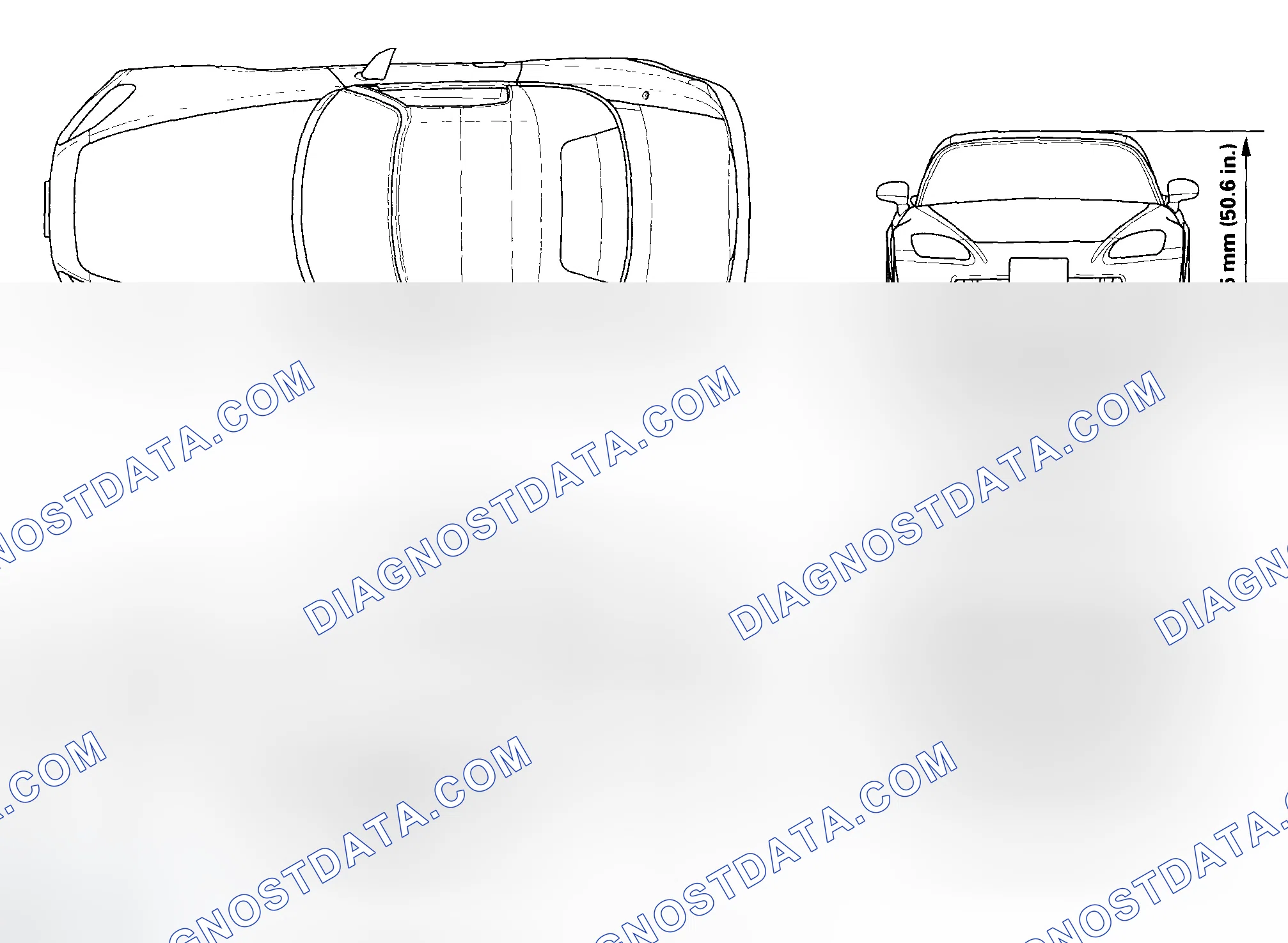 Scheme 1: Body Specifications