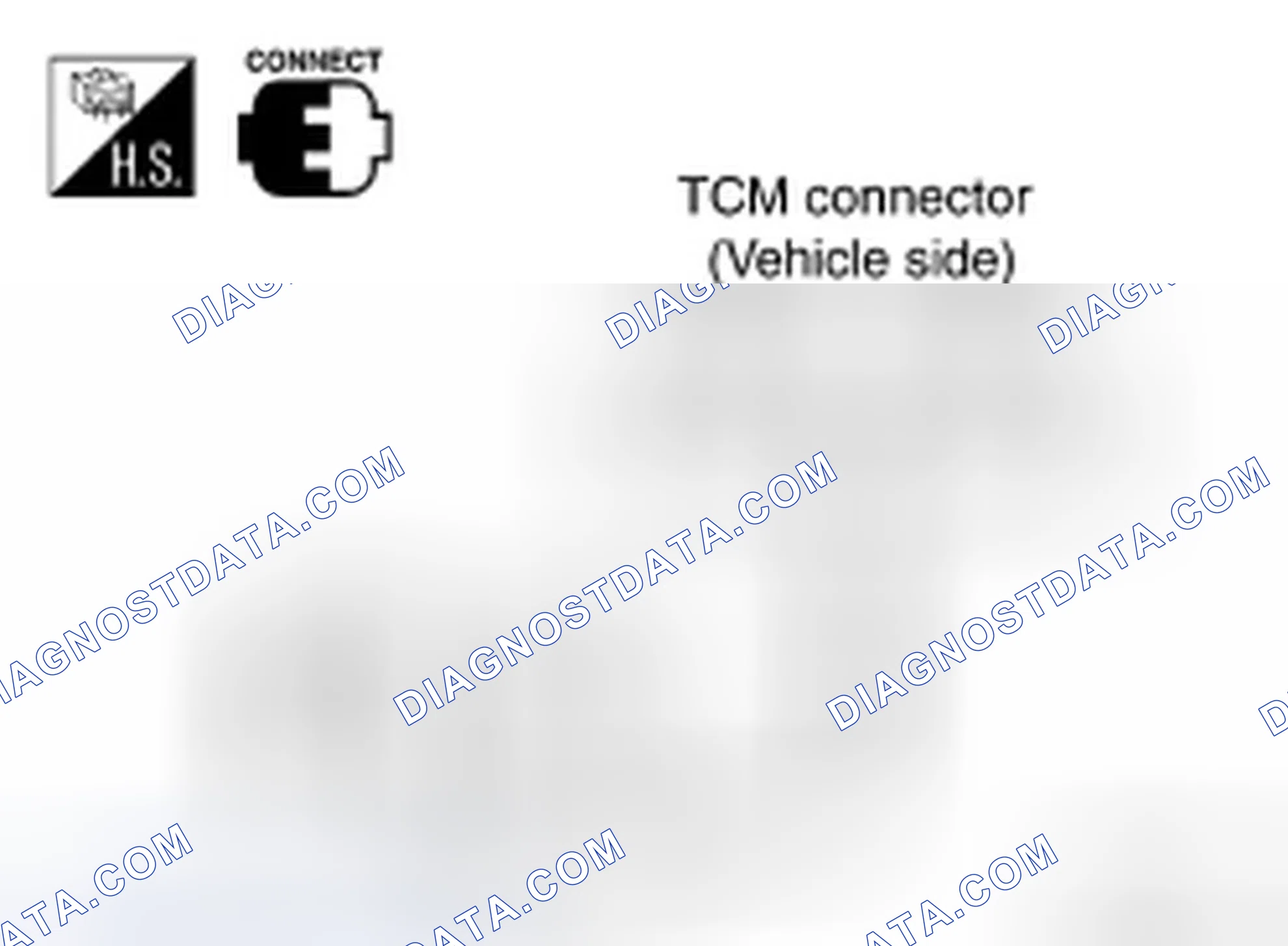 Scheme 140: Diagnostic Procedure