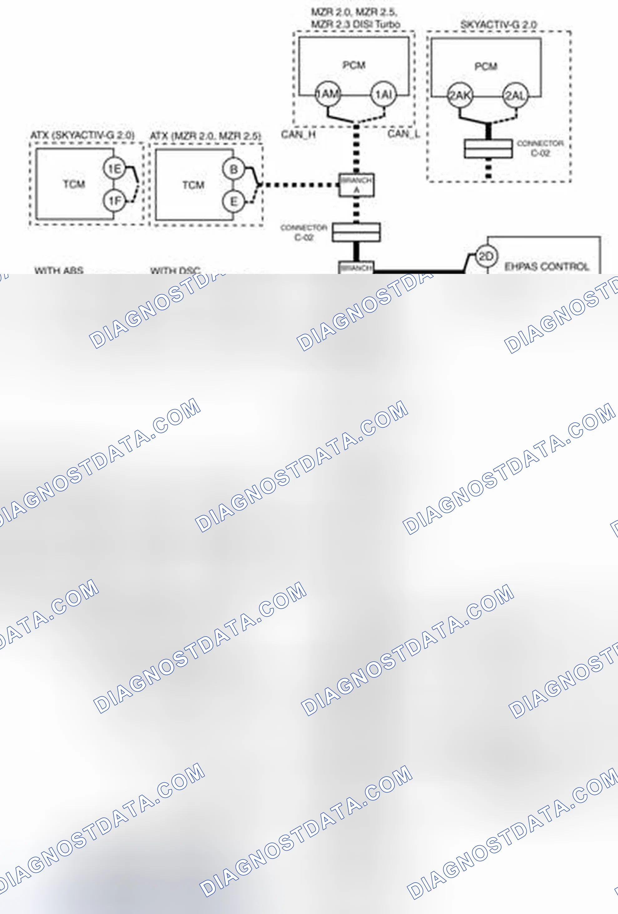Scheme 29: Branch D And Connector C-50 (Open Circuit) System Wiring Diagram