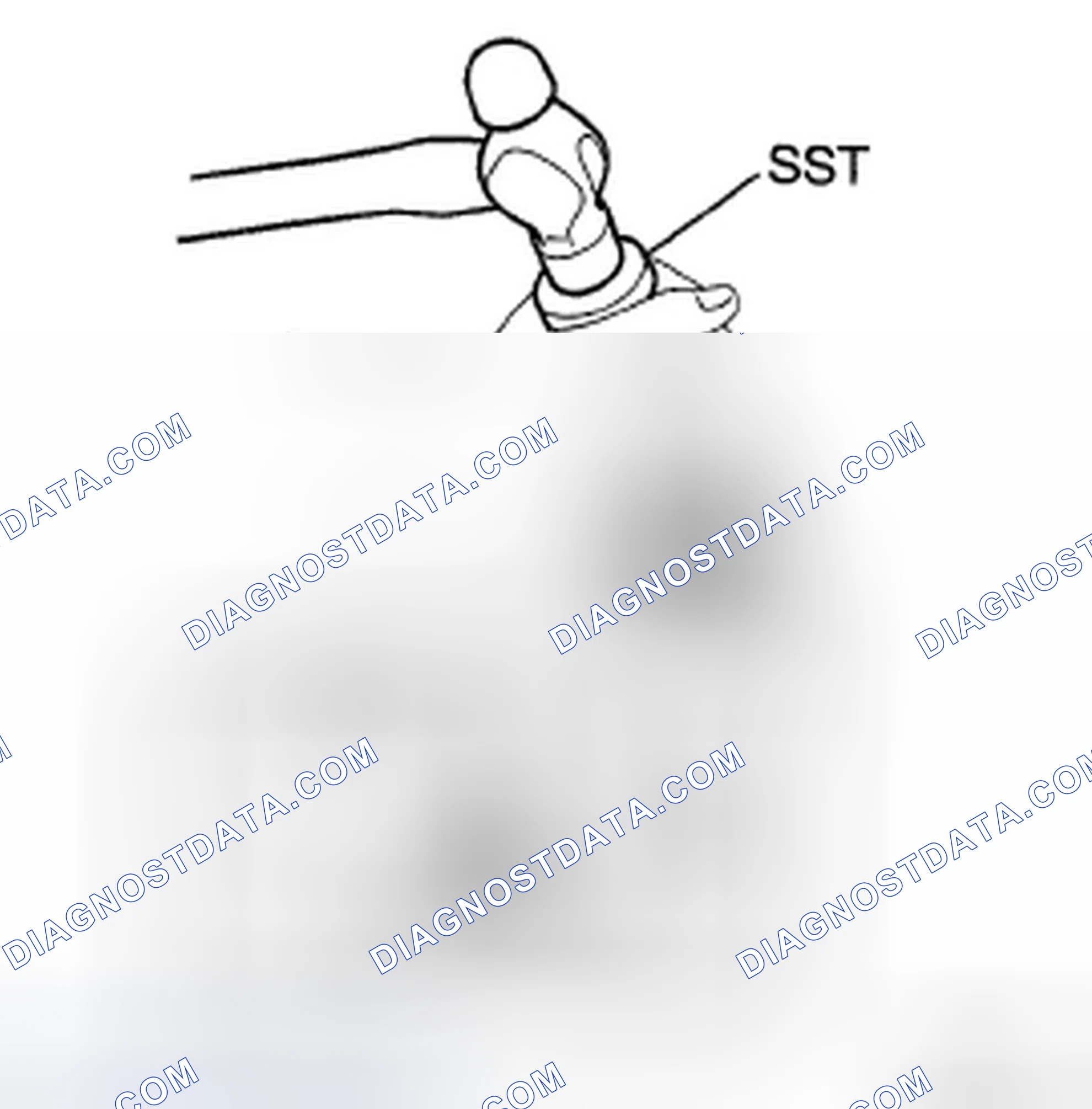 Scheme 43