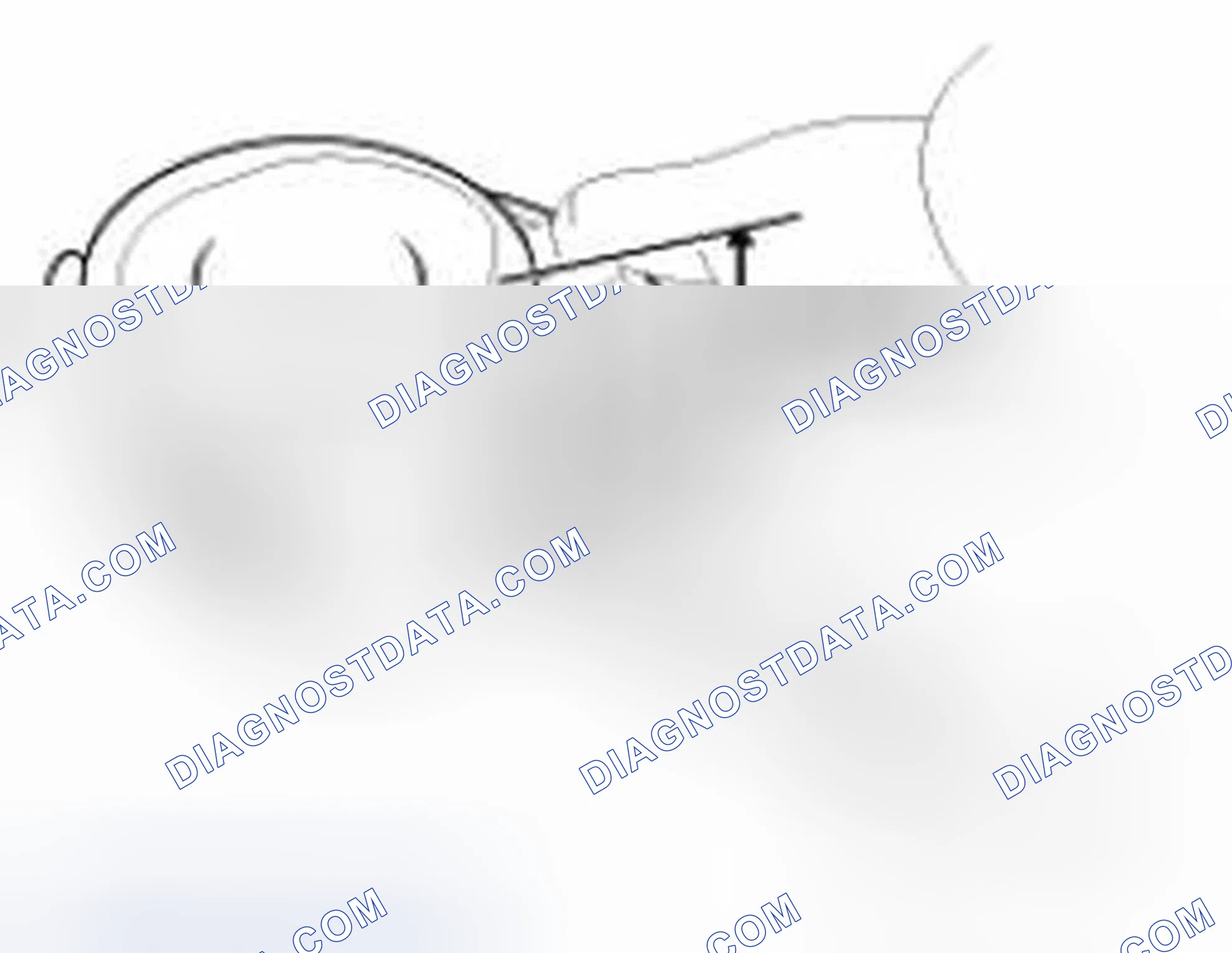 Scheme 217: PISTON AND PISTON RINGS
