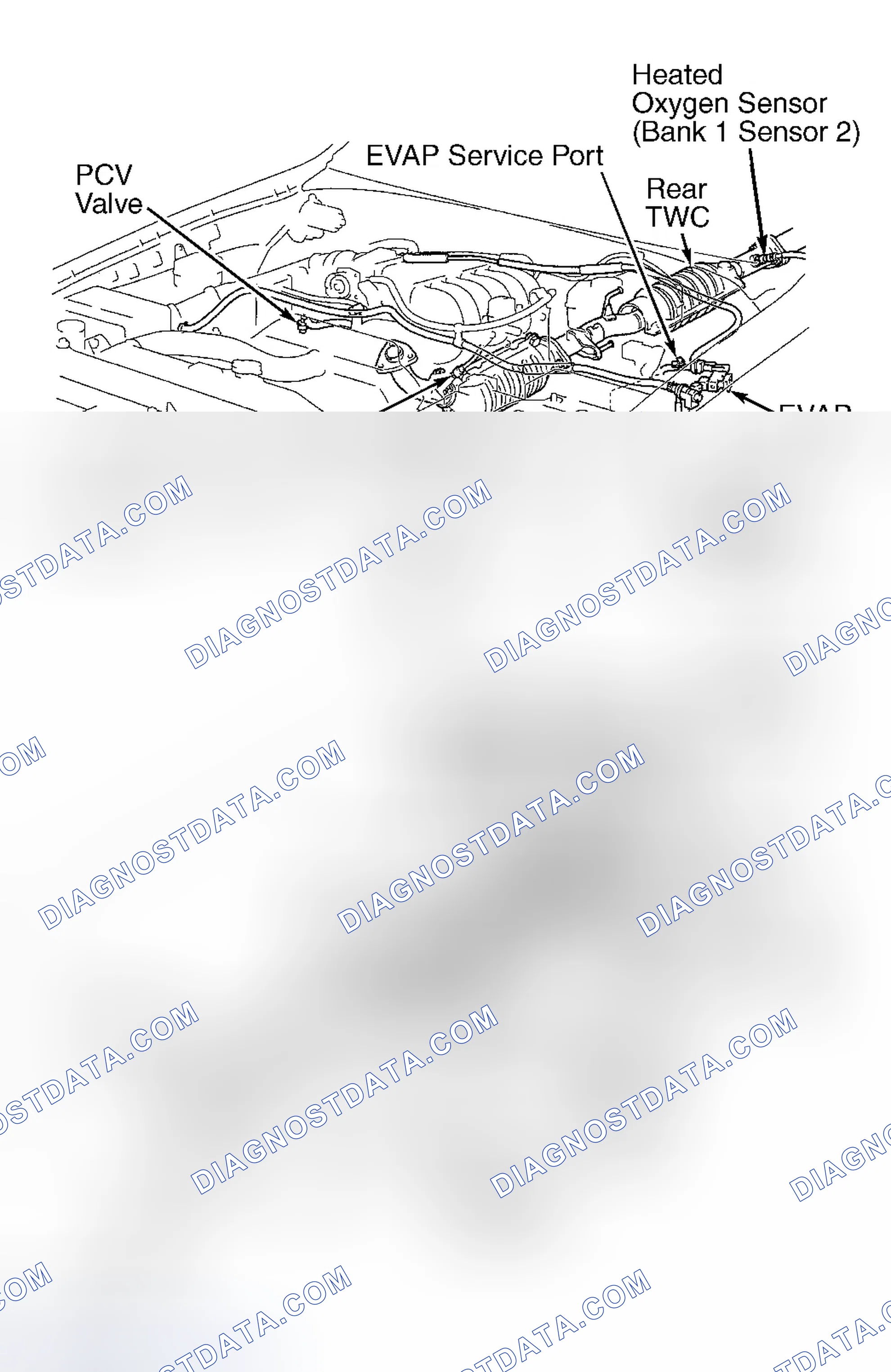 Scheme 245