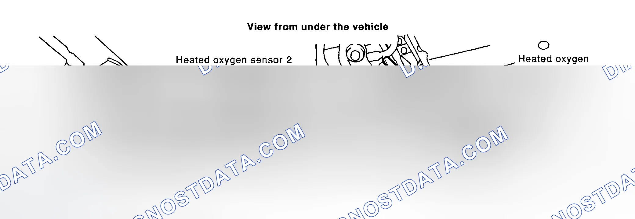 Scheme 45: Diagnostic Procedure