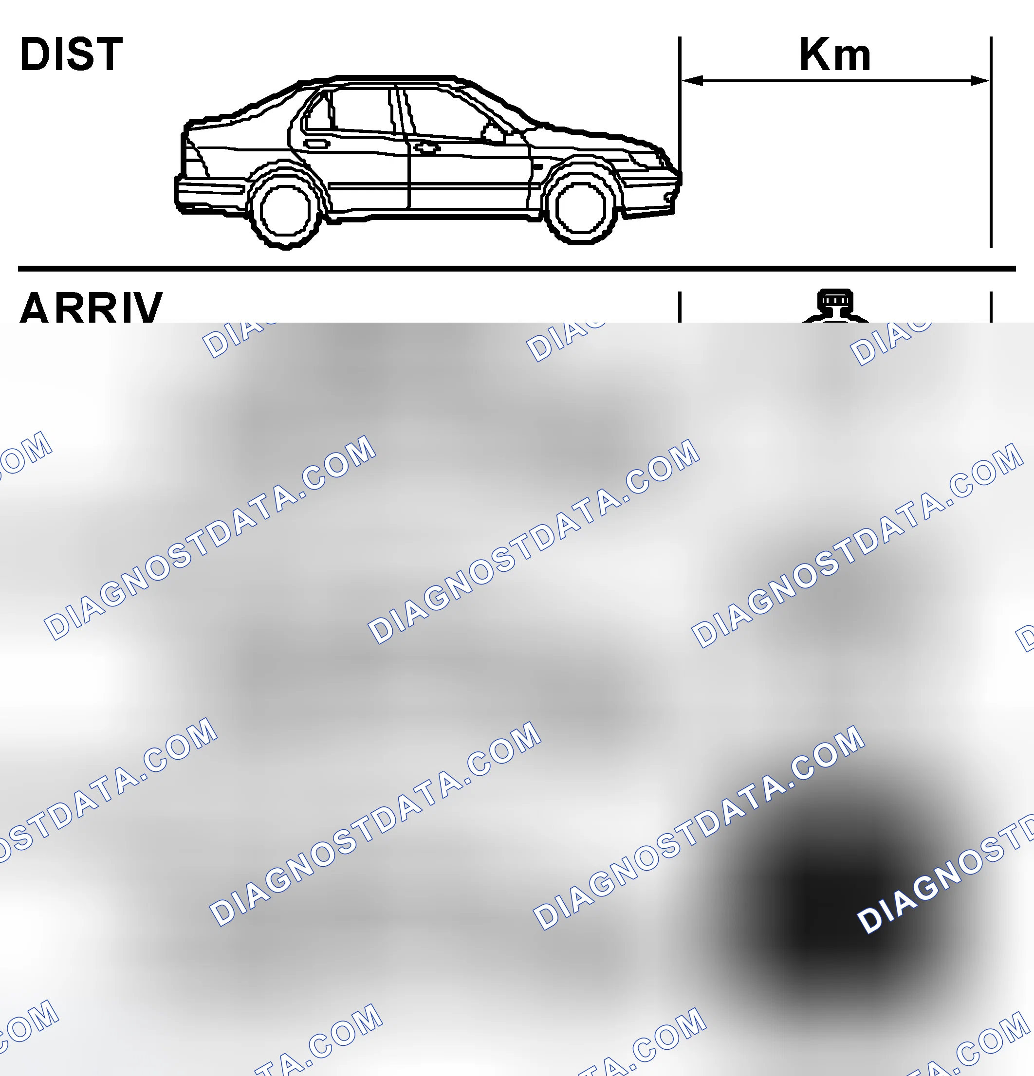 Scheme 307