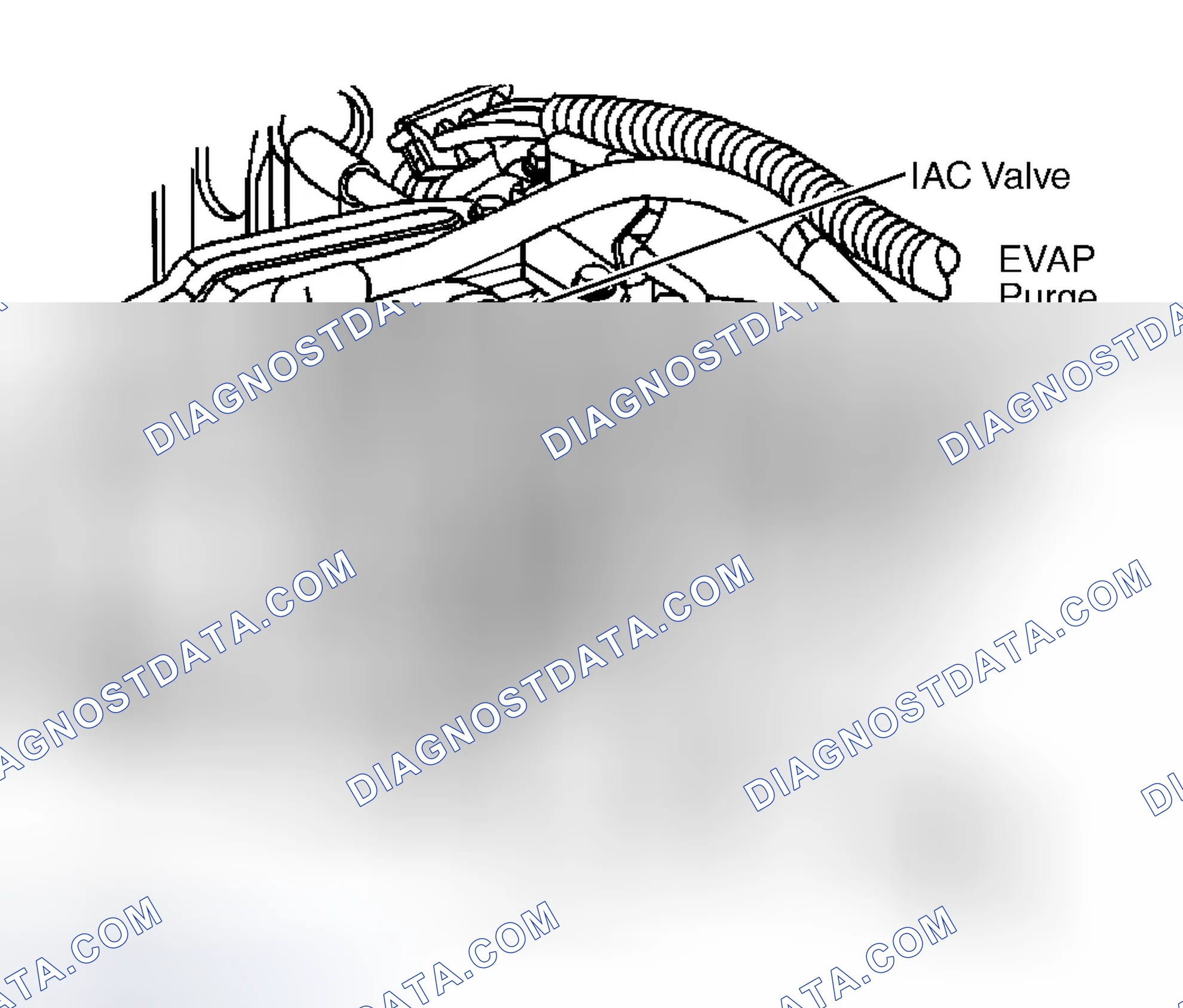 Scheme 12: EVAP Purge Solenoid