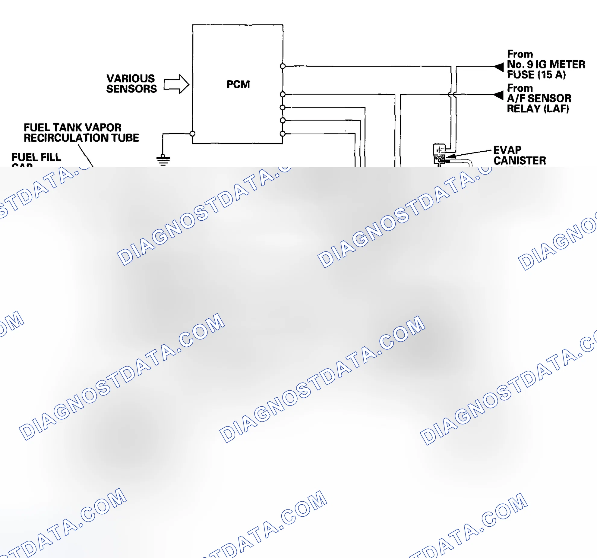 Scheme 59: Evaporative Emission (EVAP) Control Diagram