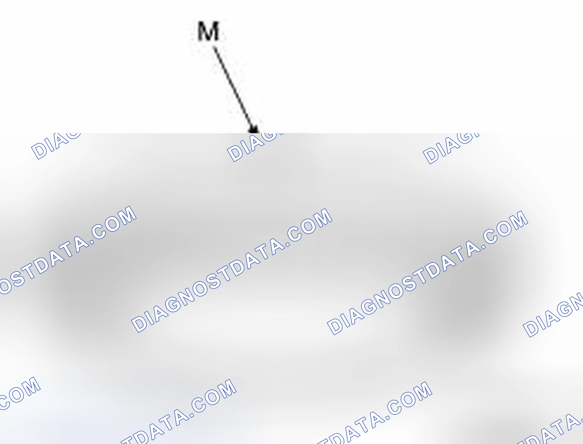 Scheme 25