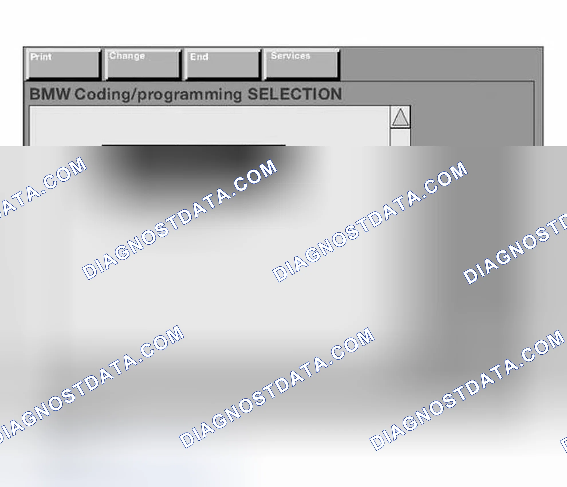 Scheme 219