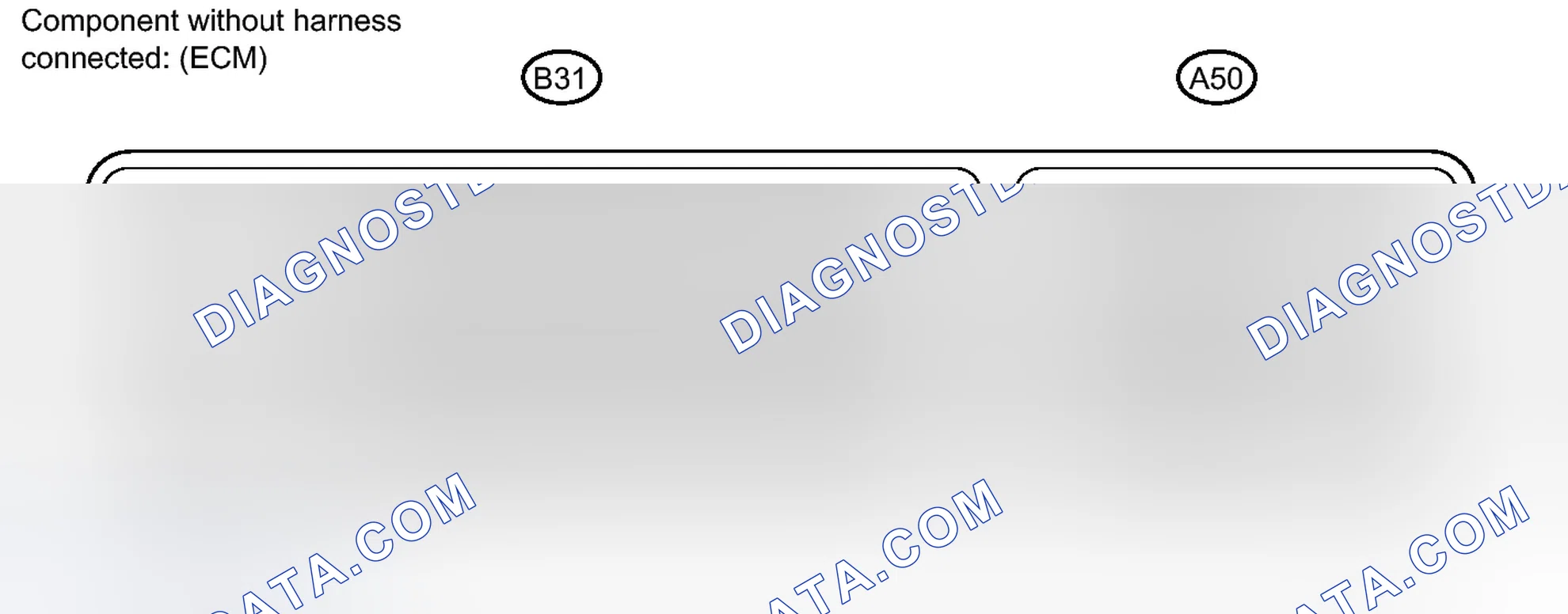 Scheme 2: TERMINALS OF ECM