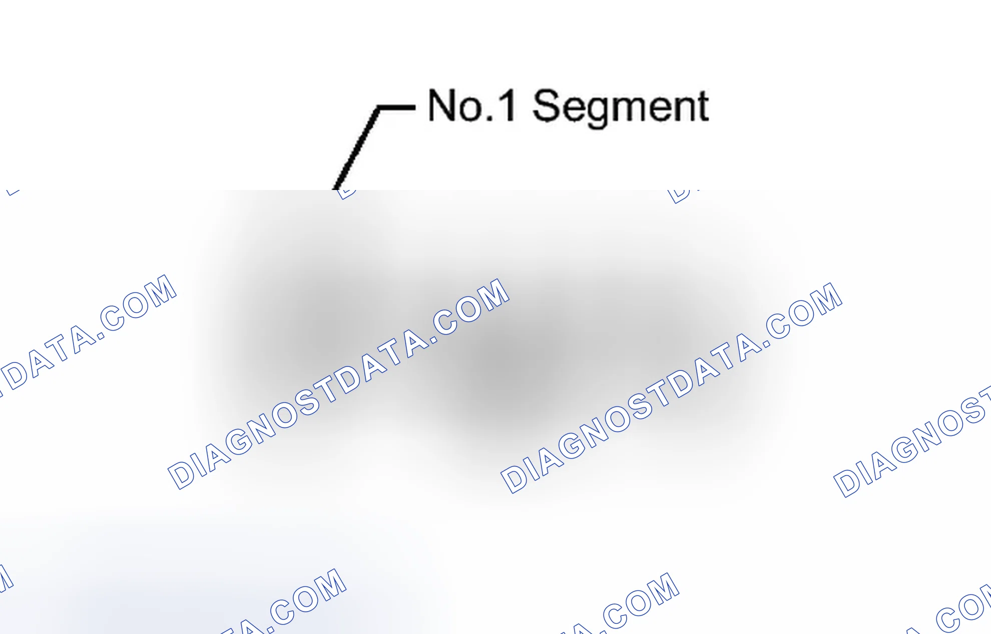 Scheme 5