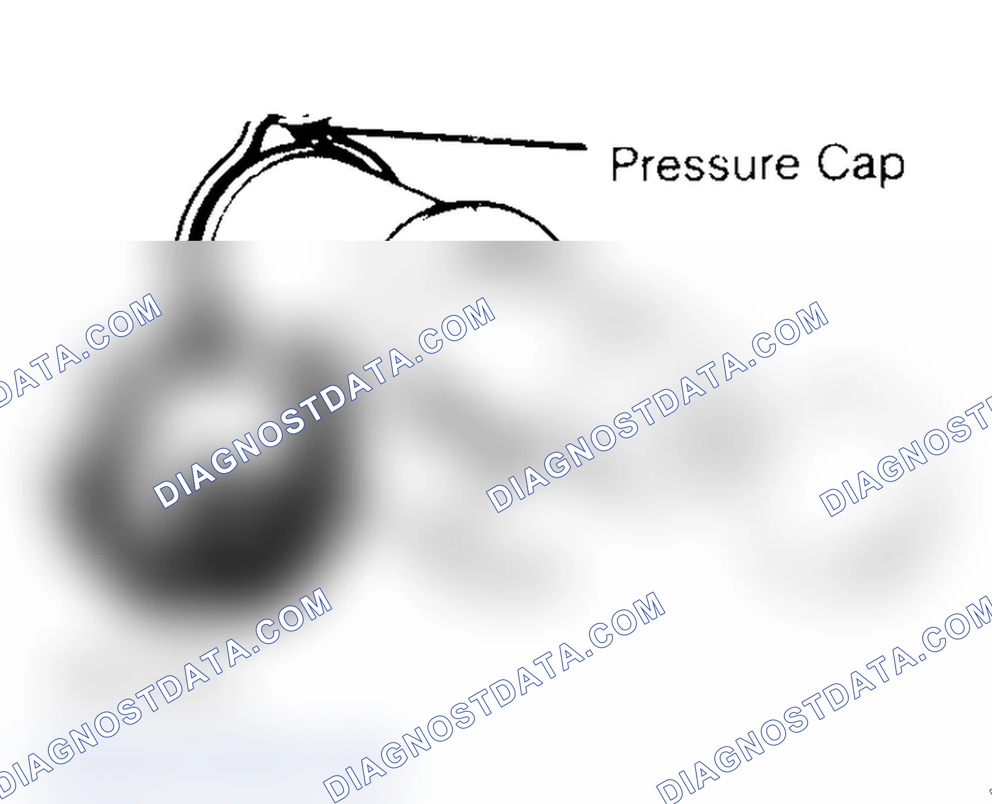 Scheme 2: Pressure Testing Radiator Cap