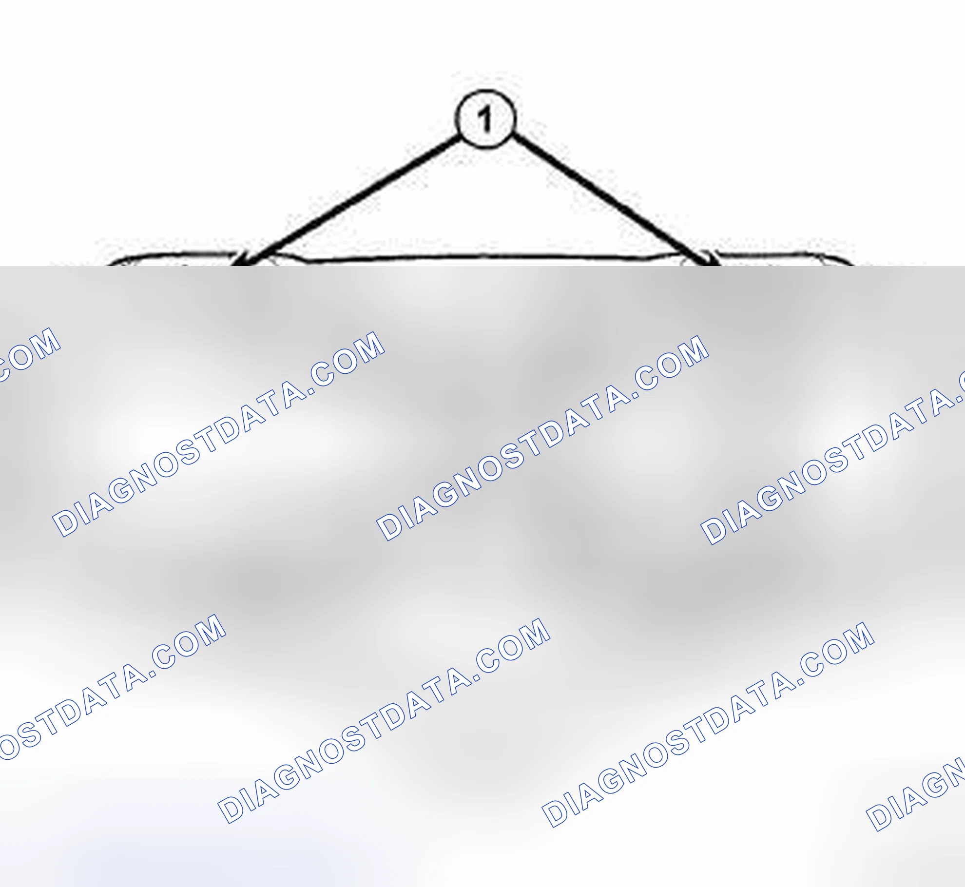Scheme 2: STANDARD PROCEDURE - HOISTING