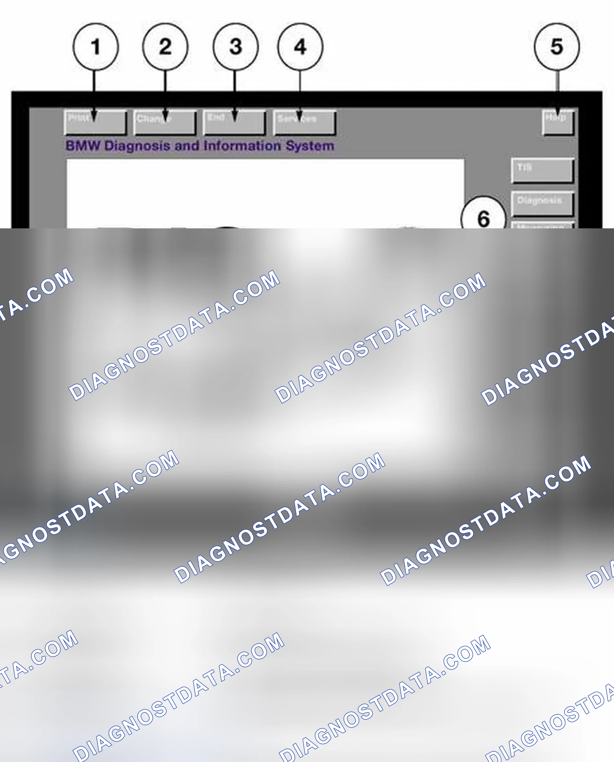 Scheme 506: Identifying DIS Start Screen