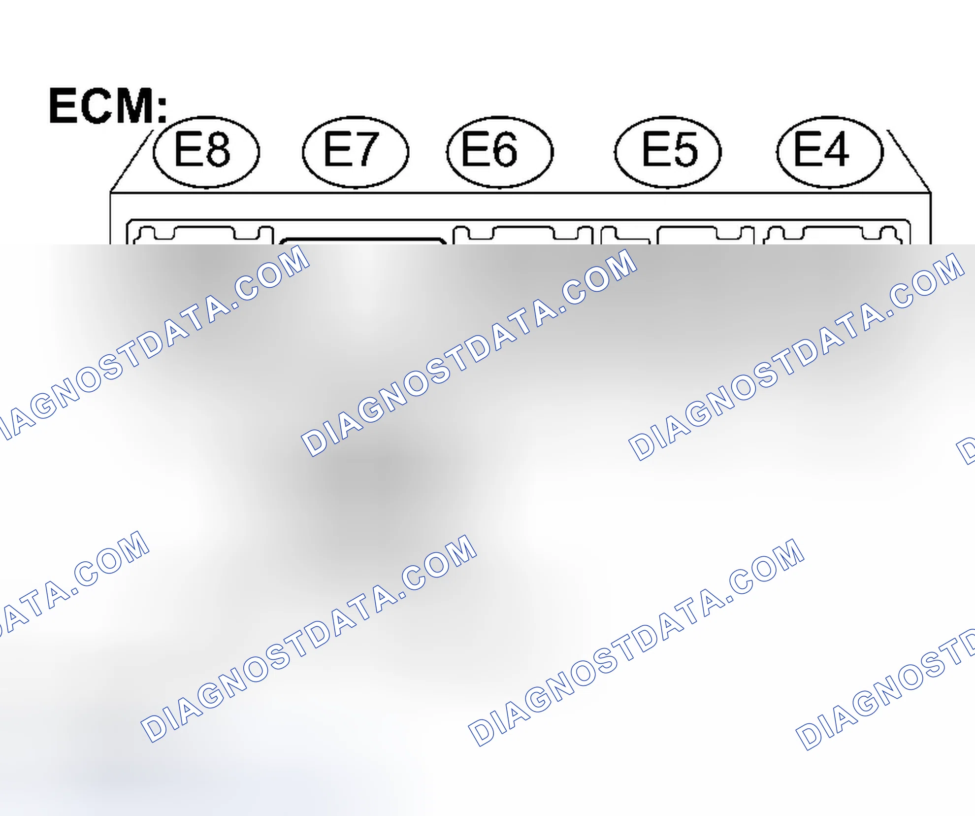 Scheme 339