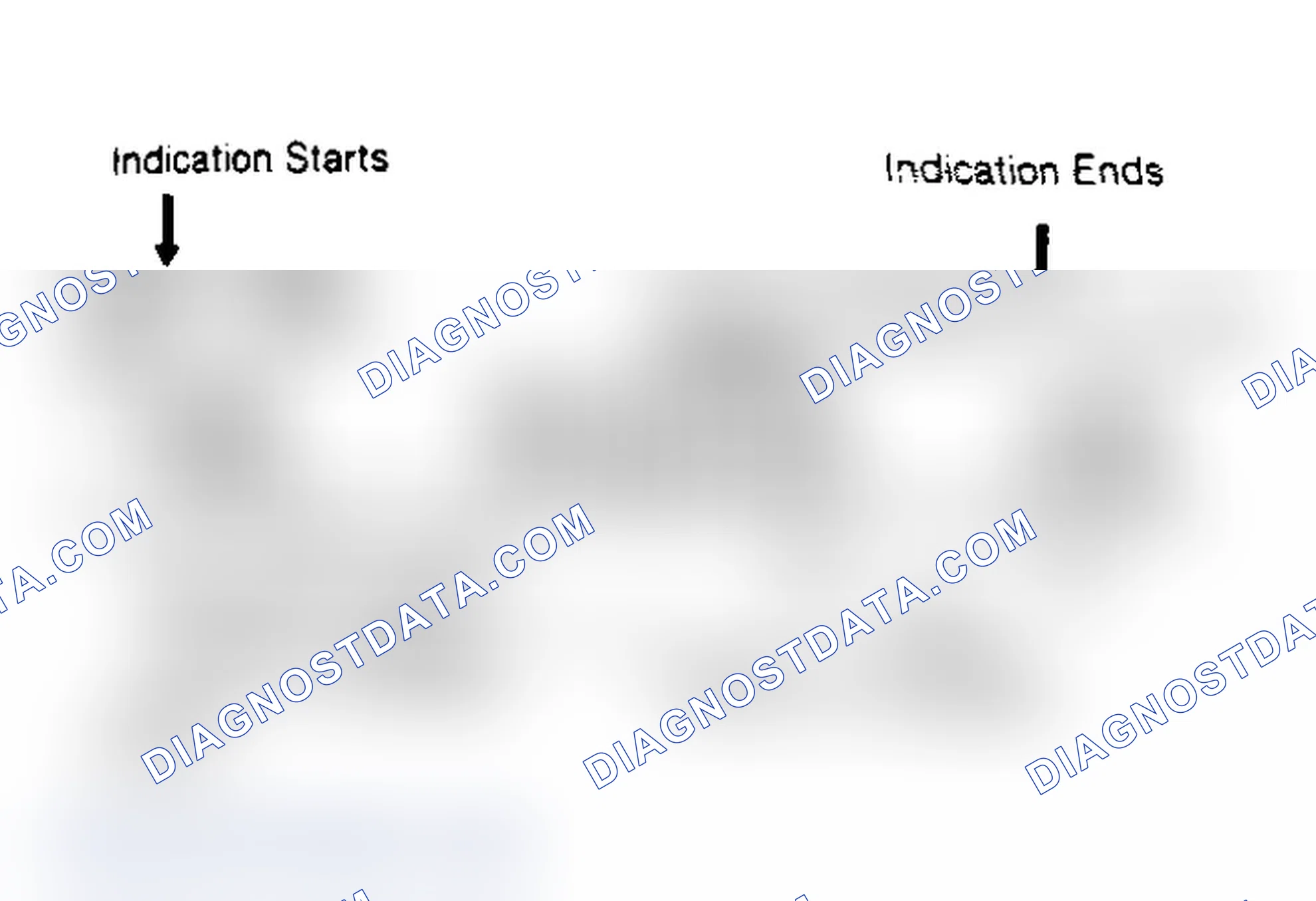 Scheme 19: Self-Test Indication Chart, Codes 2 & 5 Shown As Abnormal