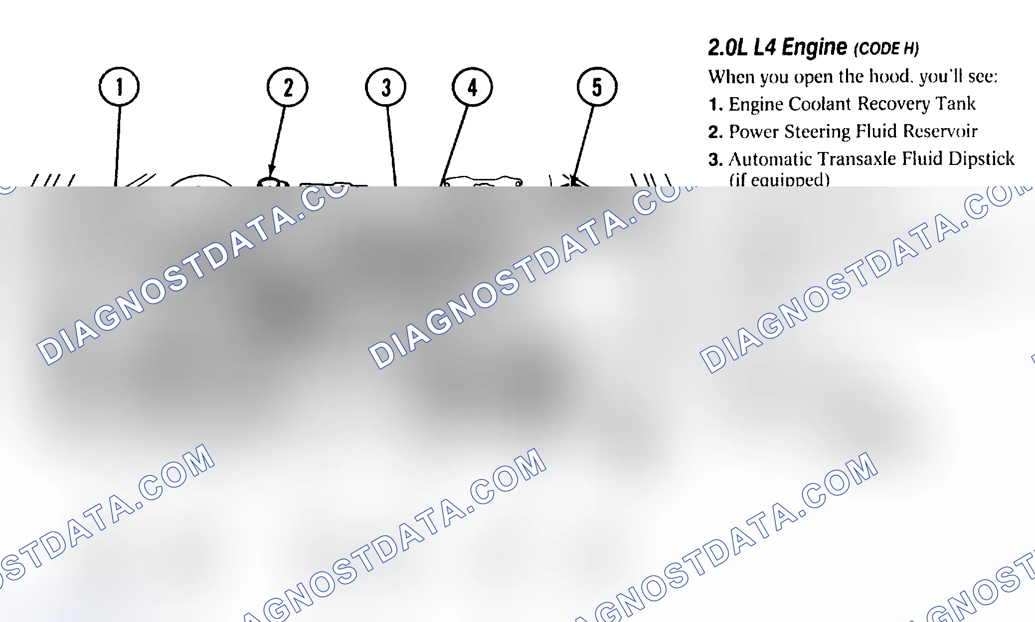 Scheme 5