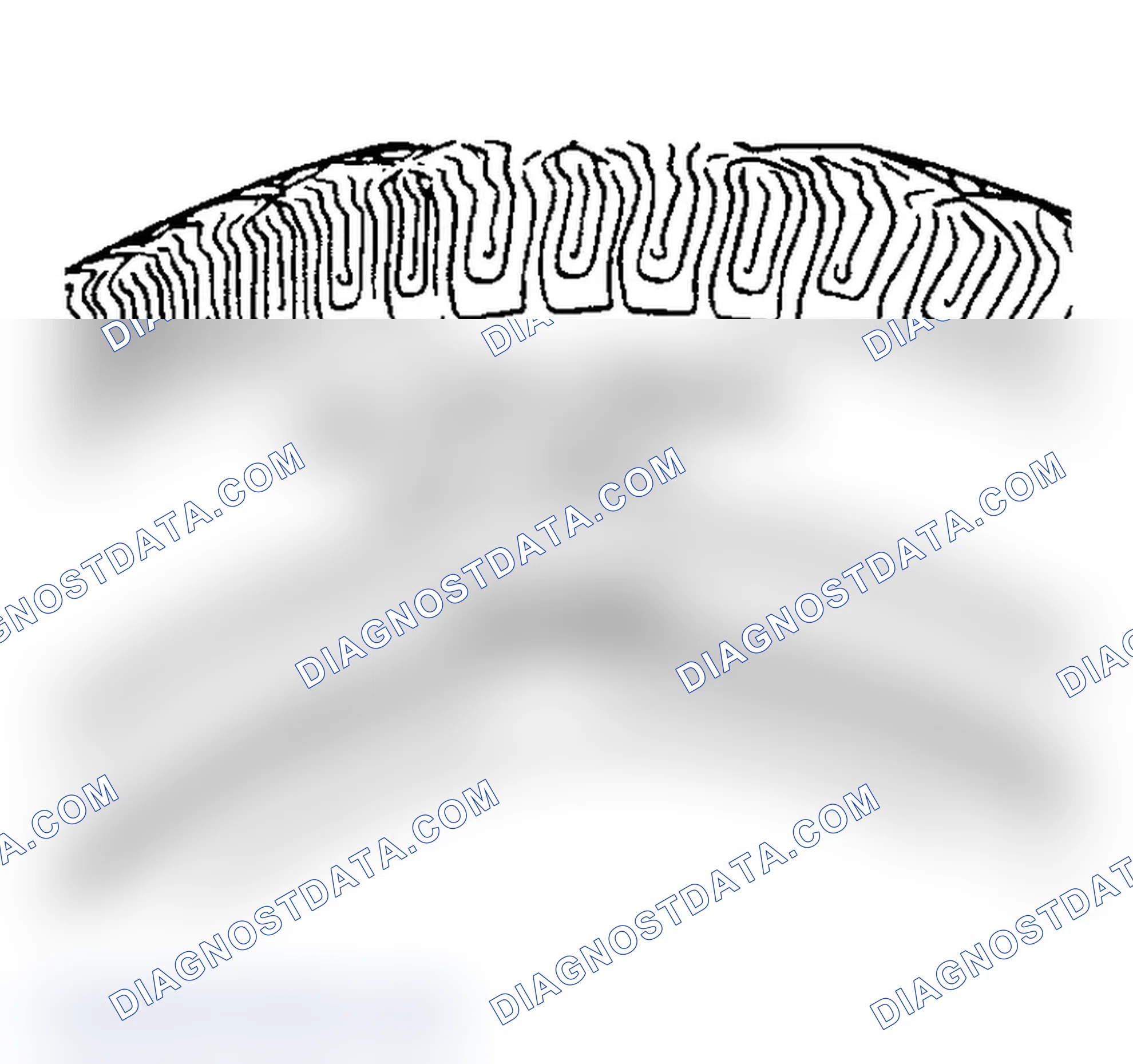 Scheme 9: All Seasons Tires Description